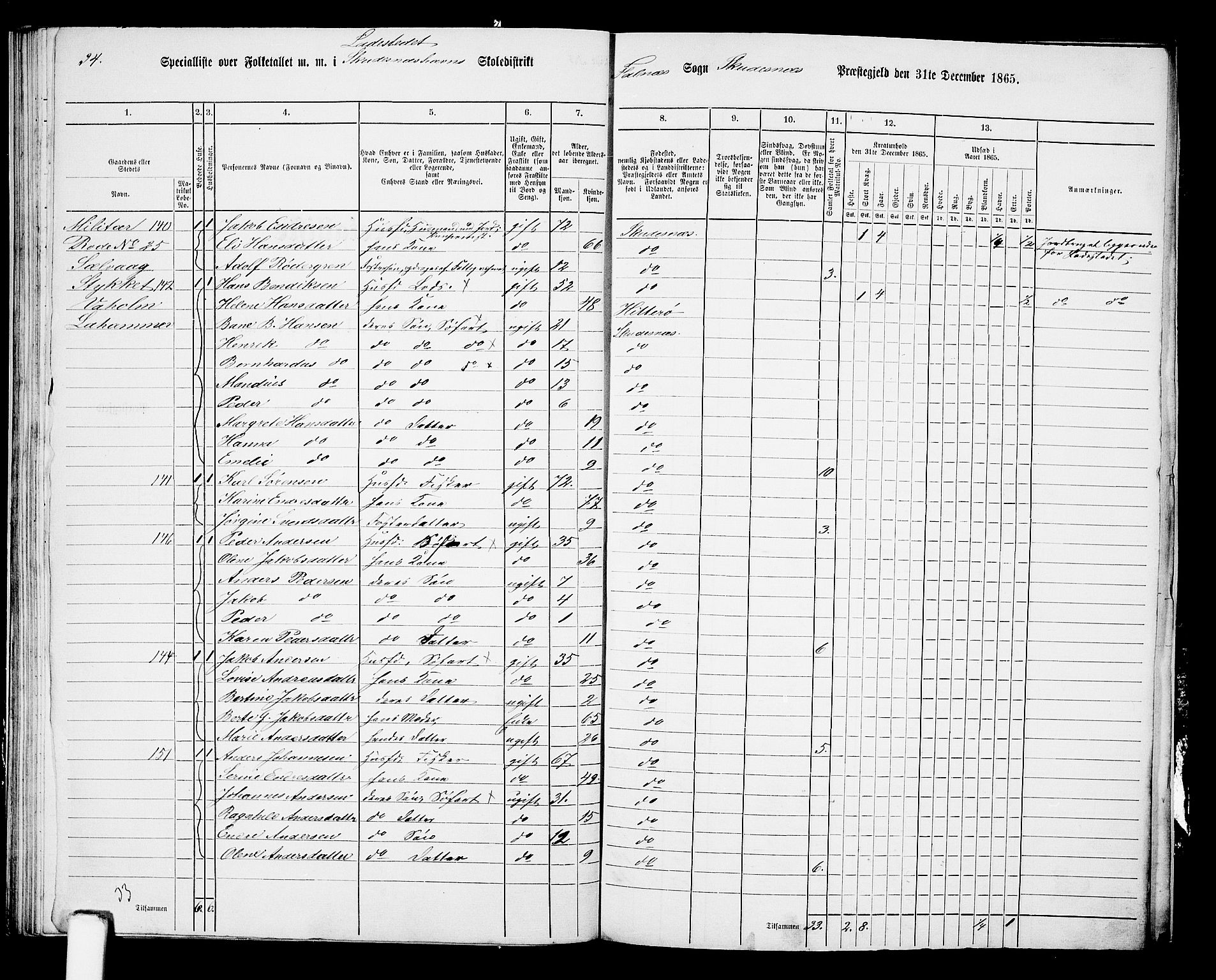RA, 1865 census for Skudenes, 1865, p. 236