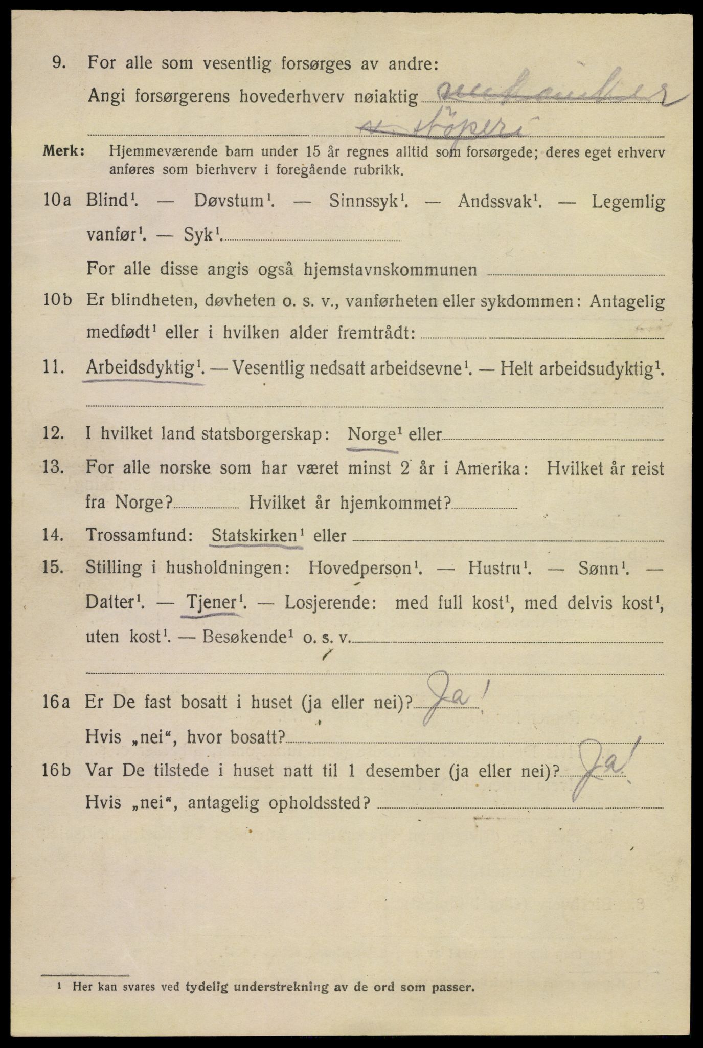 SAKO, 1920 census for Kragerø, 1920, p. 12012