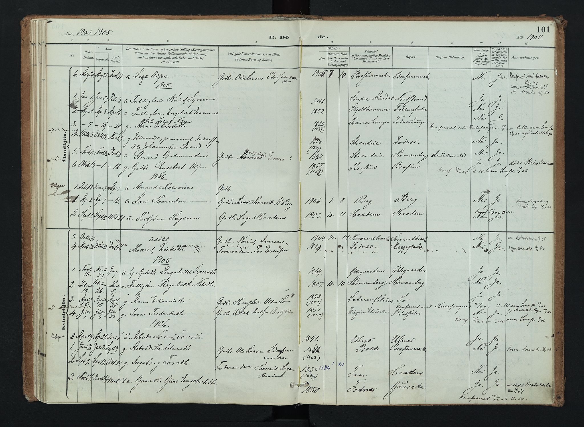 Nord-Aurdal prestekontor, SAH/PREST-132/H/Ha/Haa/L0016: Parish register (official) no. 16, 1897-1925, p. 101