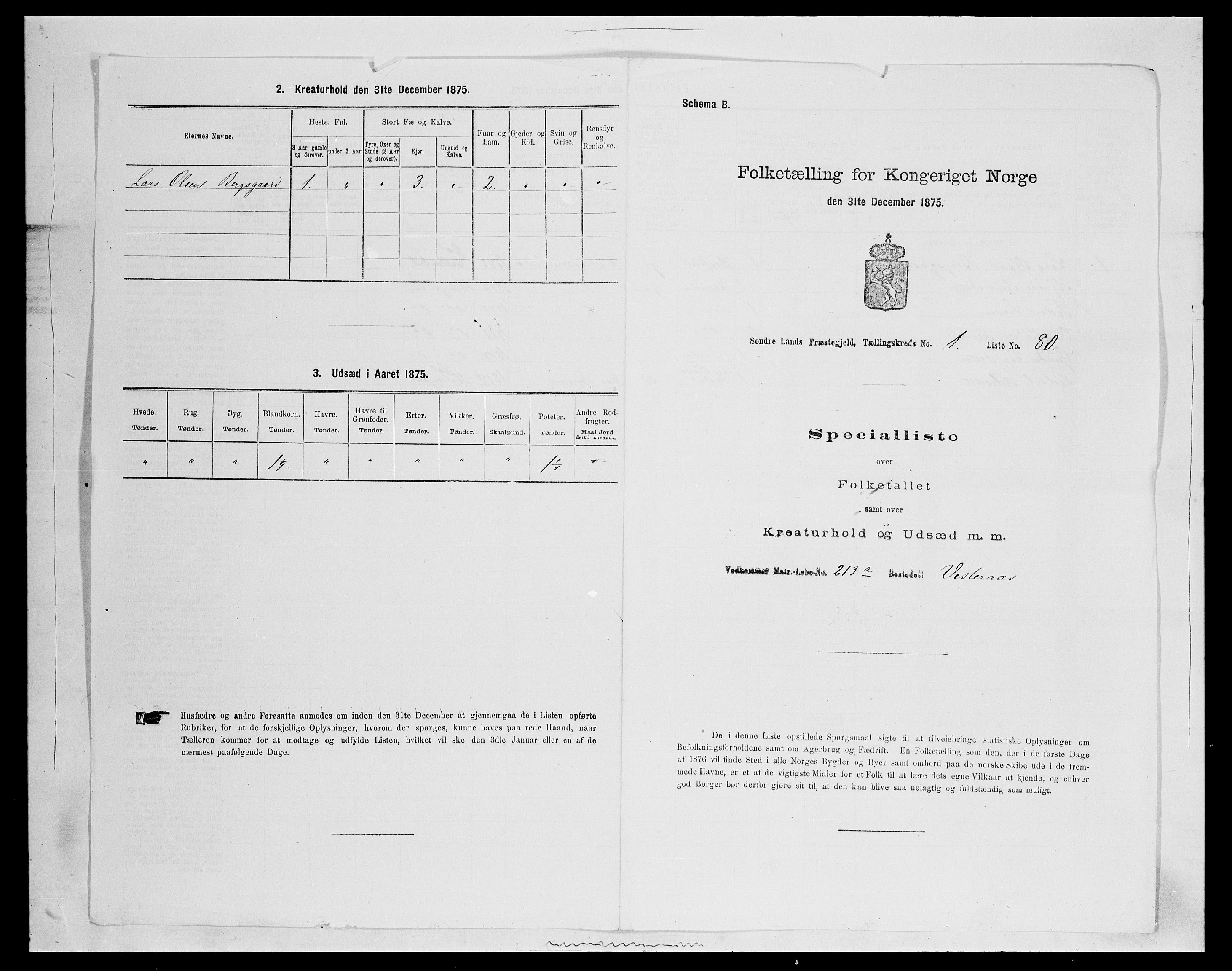 SAH, 1875 census for 0536P Søndre Land, 1875, p. 244