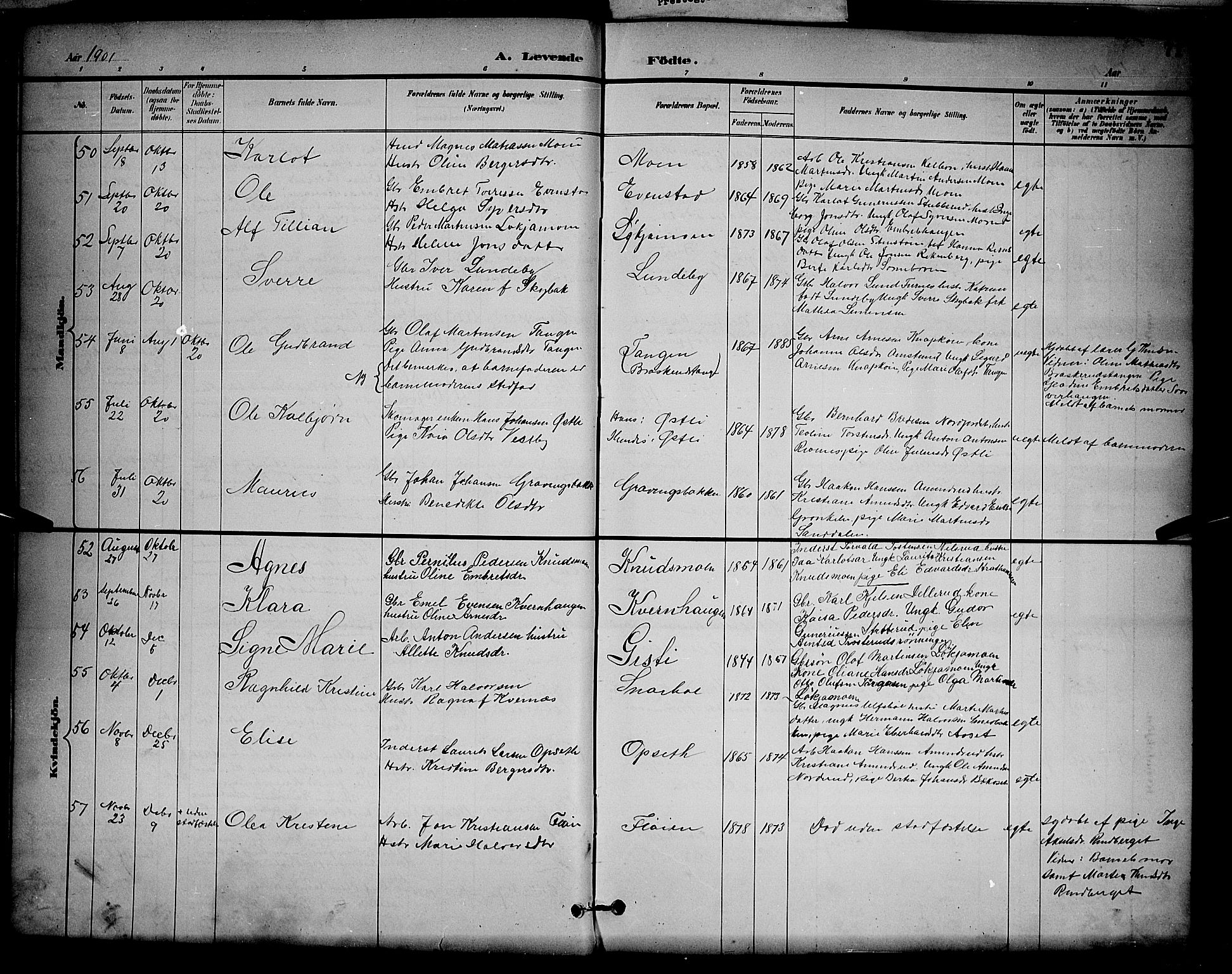Våler prestekontor, Hedmark, AV/SAH-PREST-040/H/Ha/Hab/L0001: Parish register (copy) no. 1, 1894-1904, p. 71