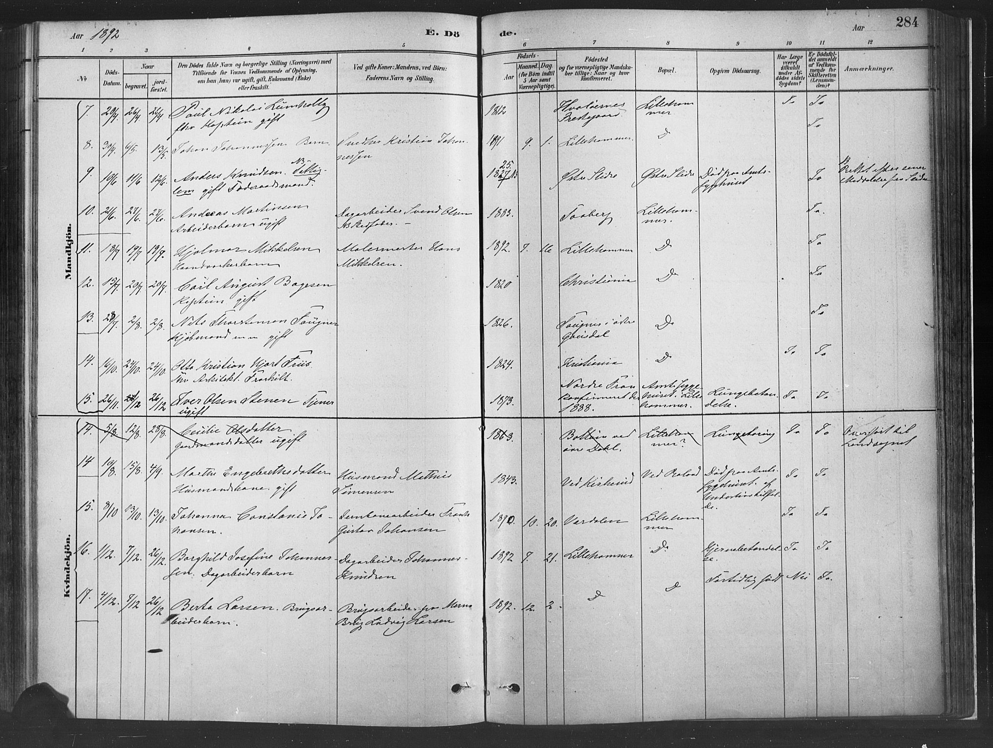 Fåberg prestekontor, SAH/PREST-086/H/Ha/Haa/L0010: Parish register (official) no. 10, 1879-1900, p. 284