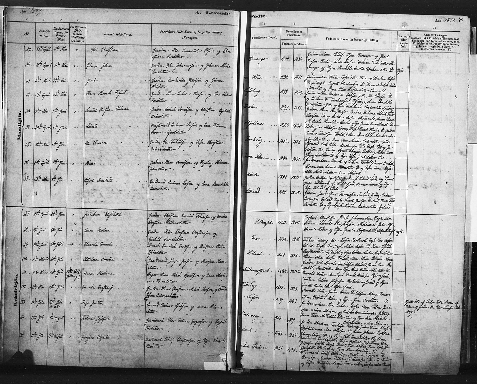 Lista sokneprestkontor, AV/SAK-1111-0027/F/Fa/L0012: Parish register (official) no. A 12, 1879-1903, p. 8