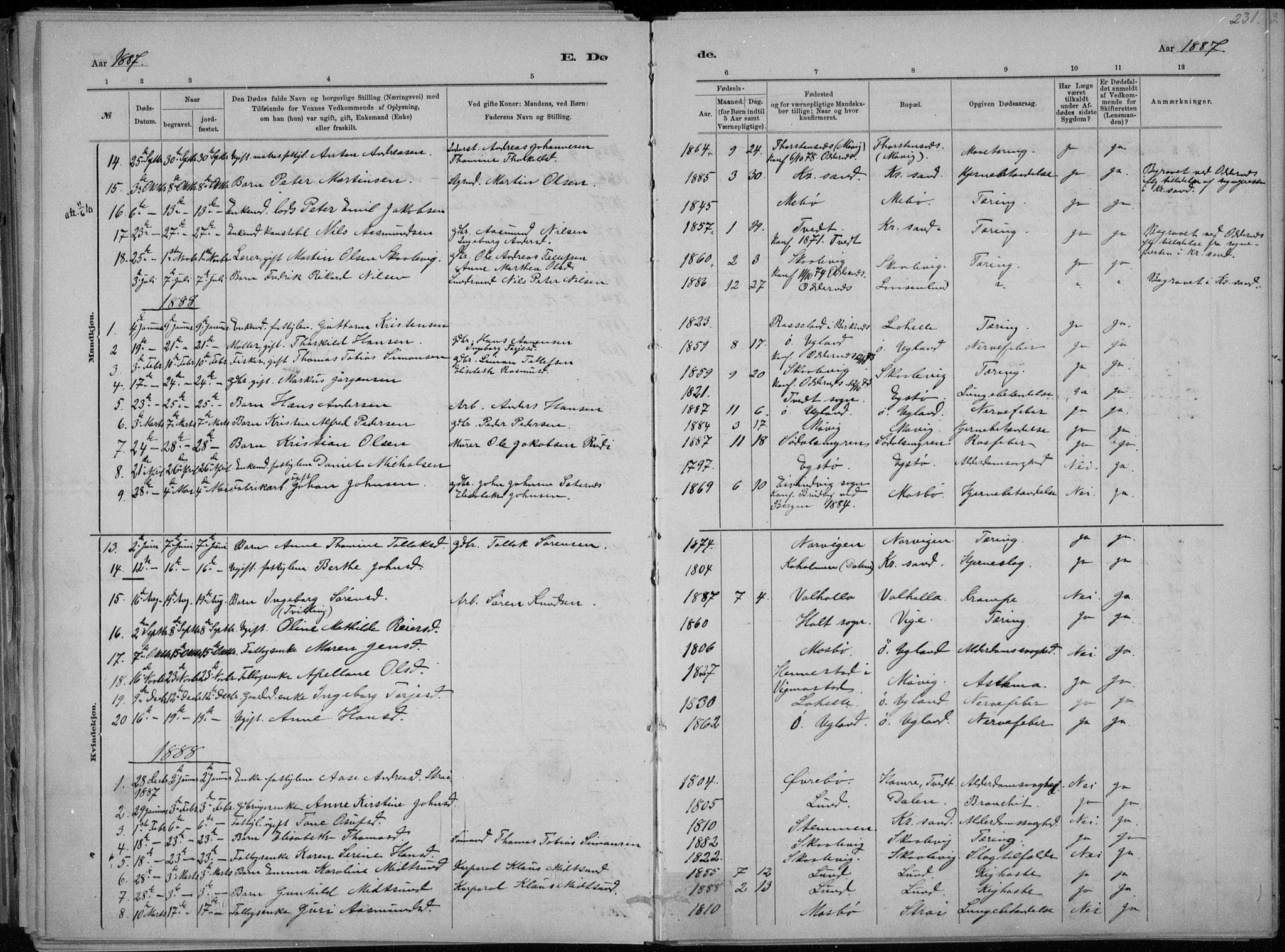 Oddernes sokneprestkontor, AV/SAK-1111-0033/F/Fa/Faa/L0009: Parish register (official) no. A 9, 1884-1896, p. 231