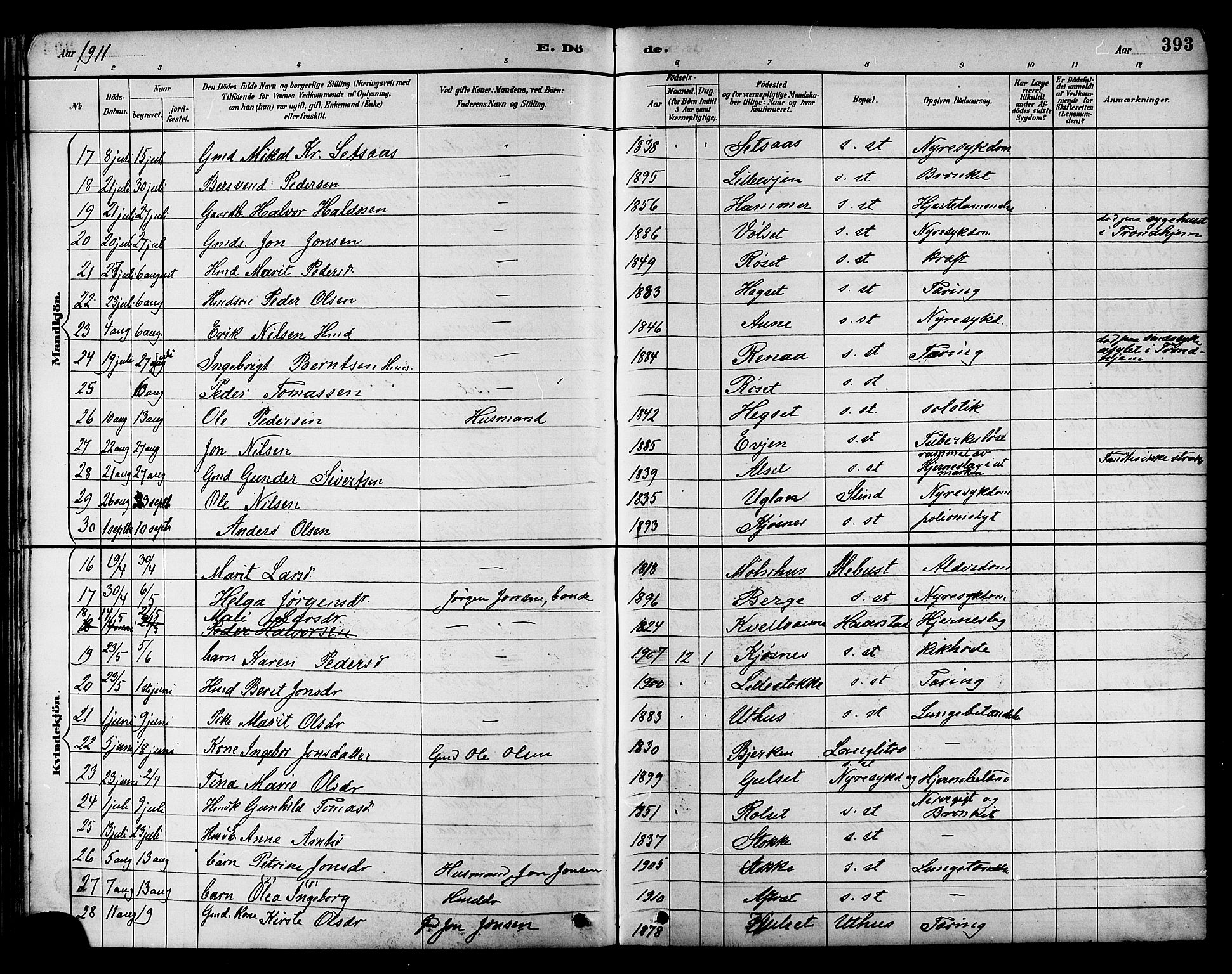 Ministerialprotokoller, klokkerbøker og fødselsregistre - Sør-Trøndelag, SAT/A-1456/695/L1157: Parish register (copy) no. 695C08, 1889-1913, p. 393