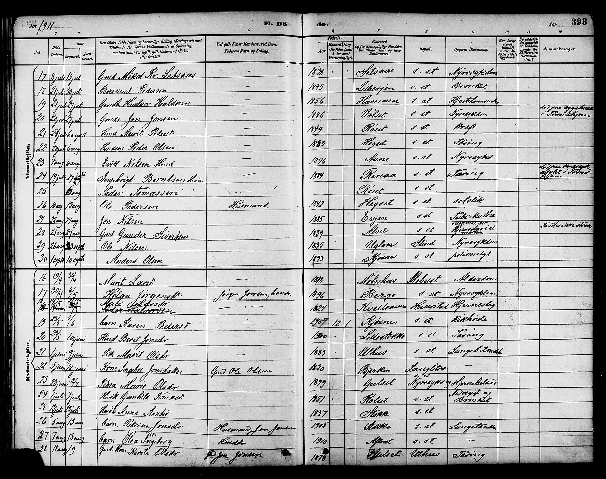 Ministerialprotokoller, klokkerbøker og fødselsregistre - Sør-Trøndelag, AV/SAT-A-1456/695/L1157: Parish register (copy) no. 695C08, 1889-1913, p. 393