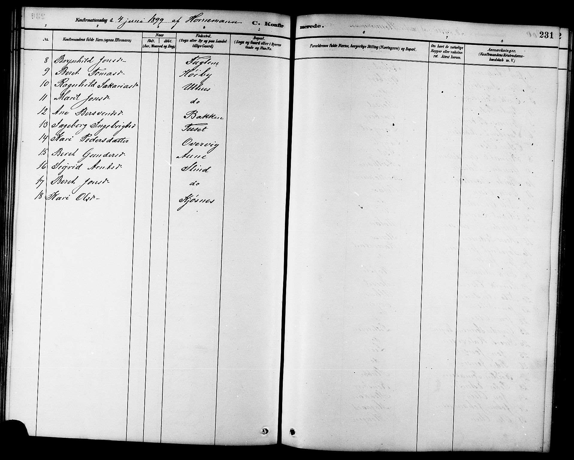 Ministerialprotokoller, klokkerbøker og fødselsregistre - Sør-Trøndelag, AV/SAT-A-1456/695/L1157: Parish register (copy) no. 695C08, 1889-1913, p. 231