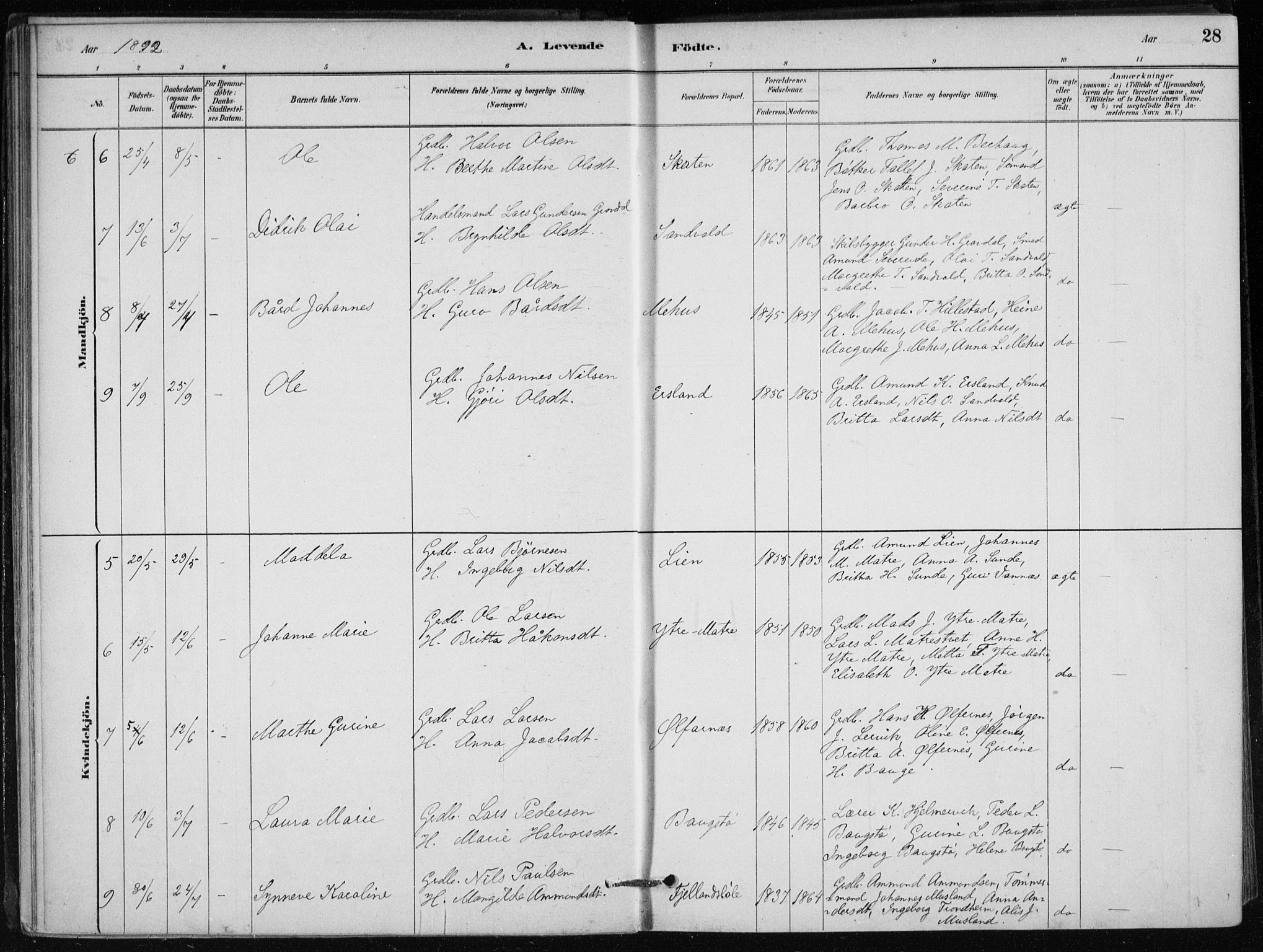 Skånevik sokneprestembete, AV/SAB-A-77801/H/Haa: Parish register (official) no. C  1, 1879-1917, p. 28