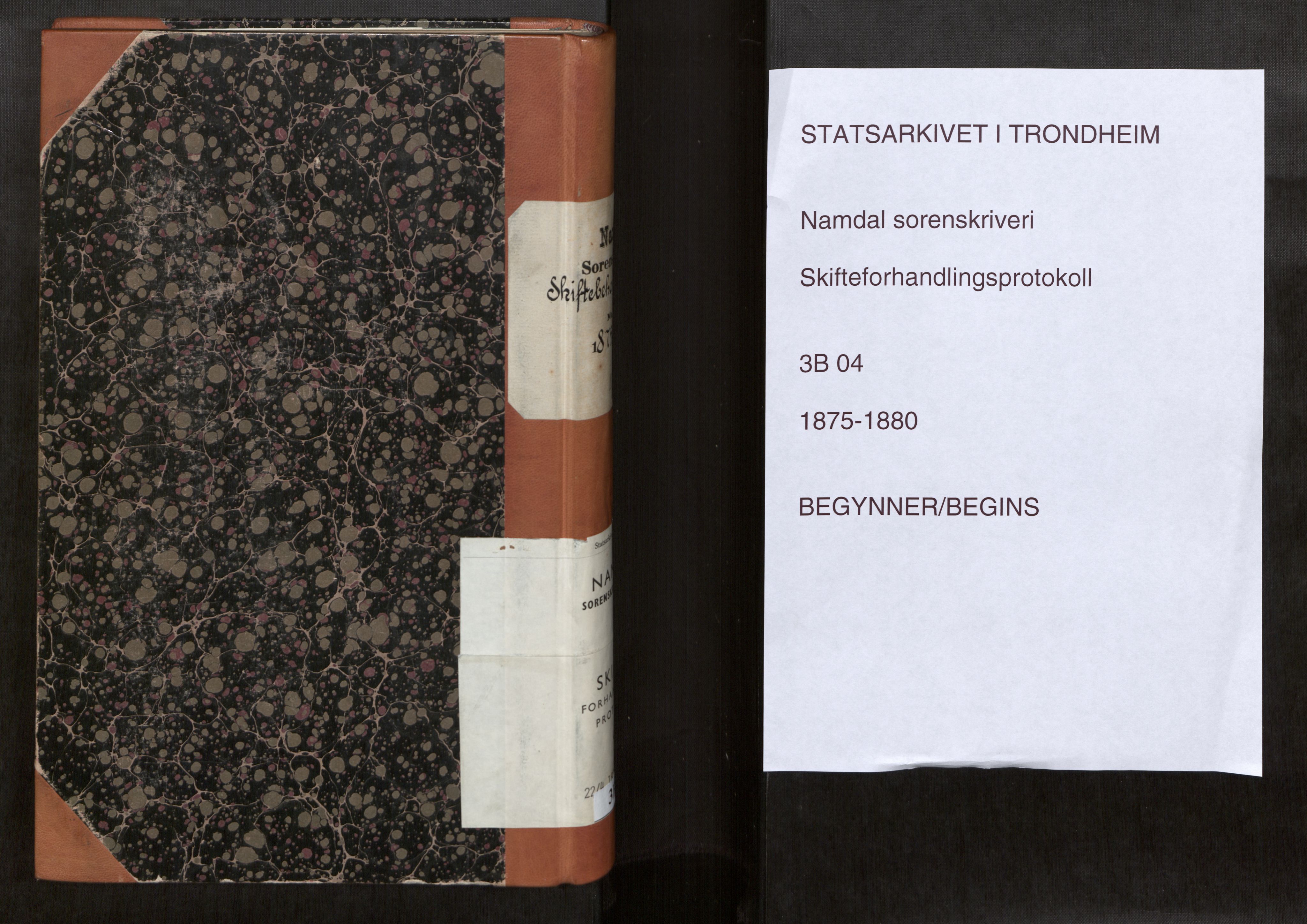 Namdal sorenskriveri, AV/SAT-A-4133/1/3/3B/L0004: Skiftebehandlingsprotokoll, 1875-1880