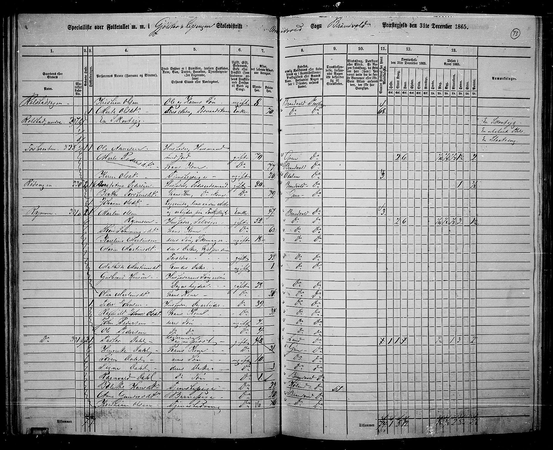 RA, 1865 census for Brandval, 1865, p. 64