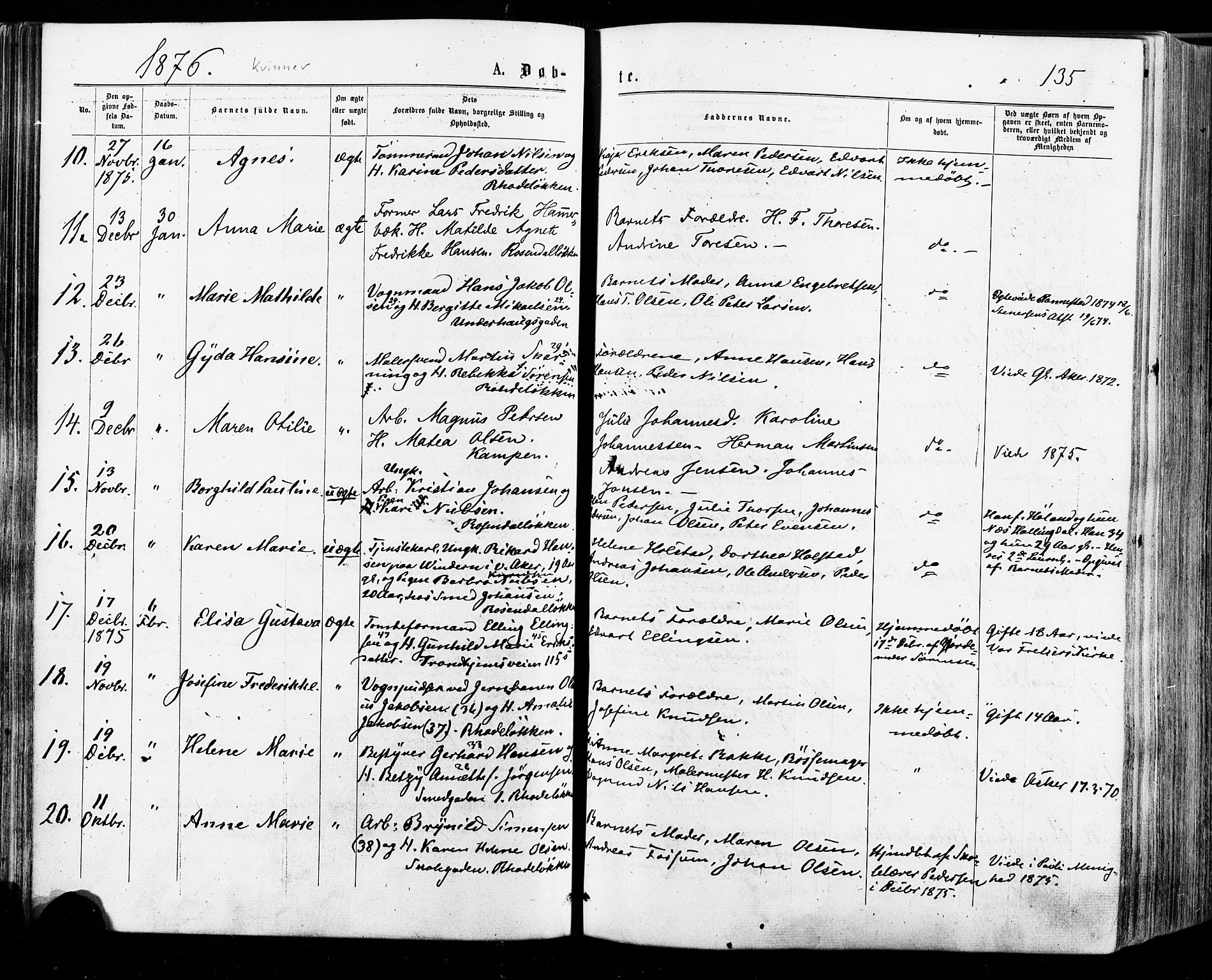 Østre Aker prestekontor Kirkebøker, SAO/A-10840/F/Fa/L0004: Parish register (official) no. I 4, 1876-1889, p. 135