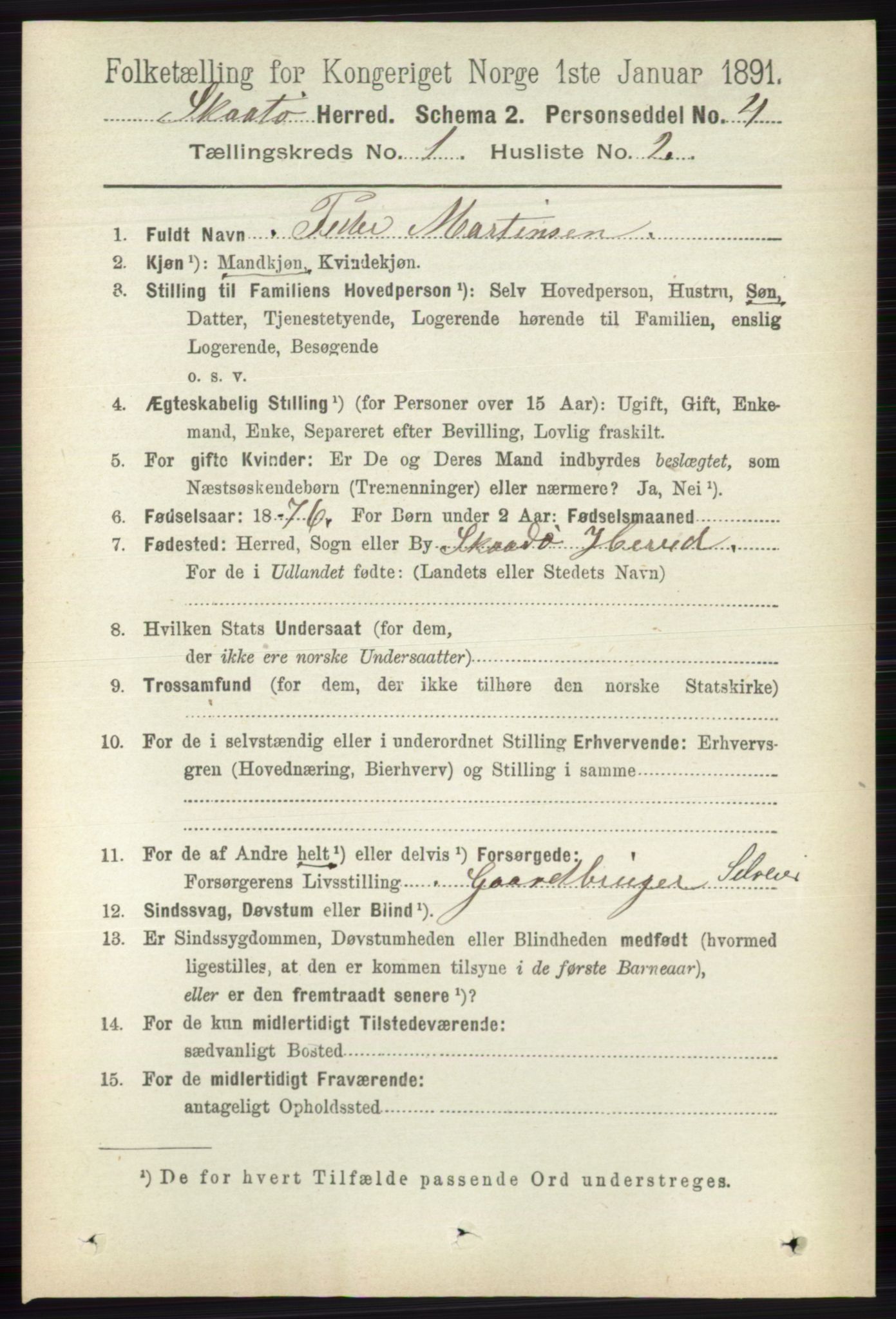 RA, 1891 census for 0815 Skåtøy, 1891, p. 101