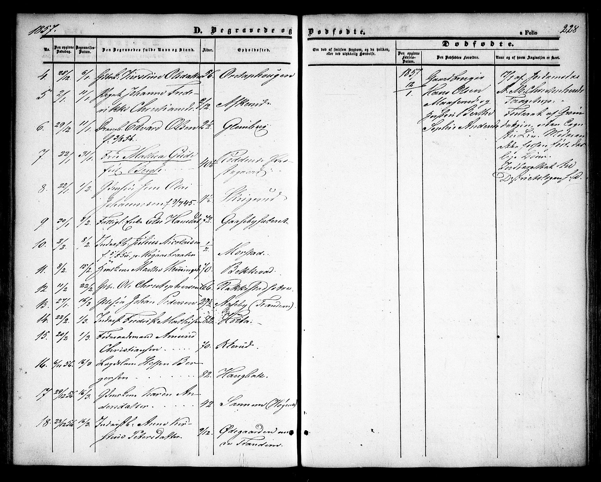 Rødenes prestekontor Kirkebøker, AV/SAO-A-2005/F/Fa/L0006: Parish register (official) no. I 6, 1850-1859, p. 228