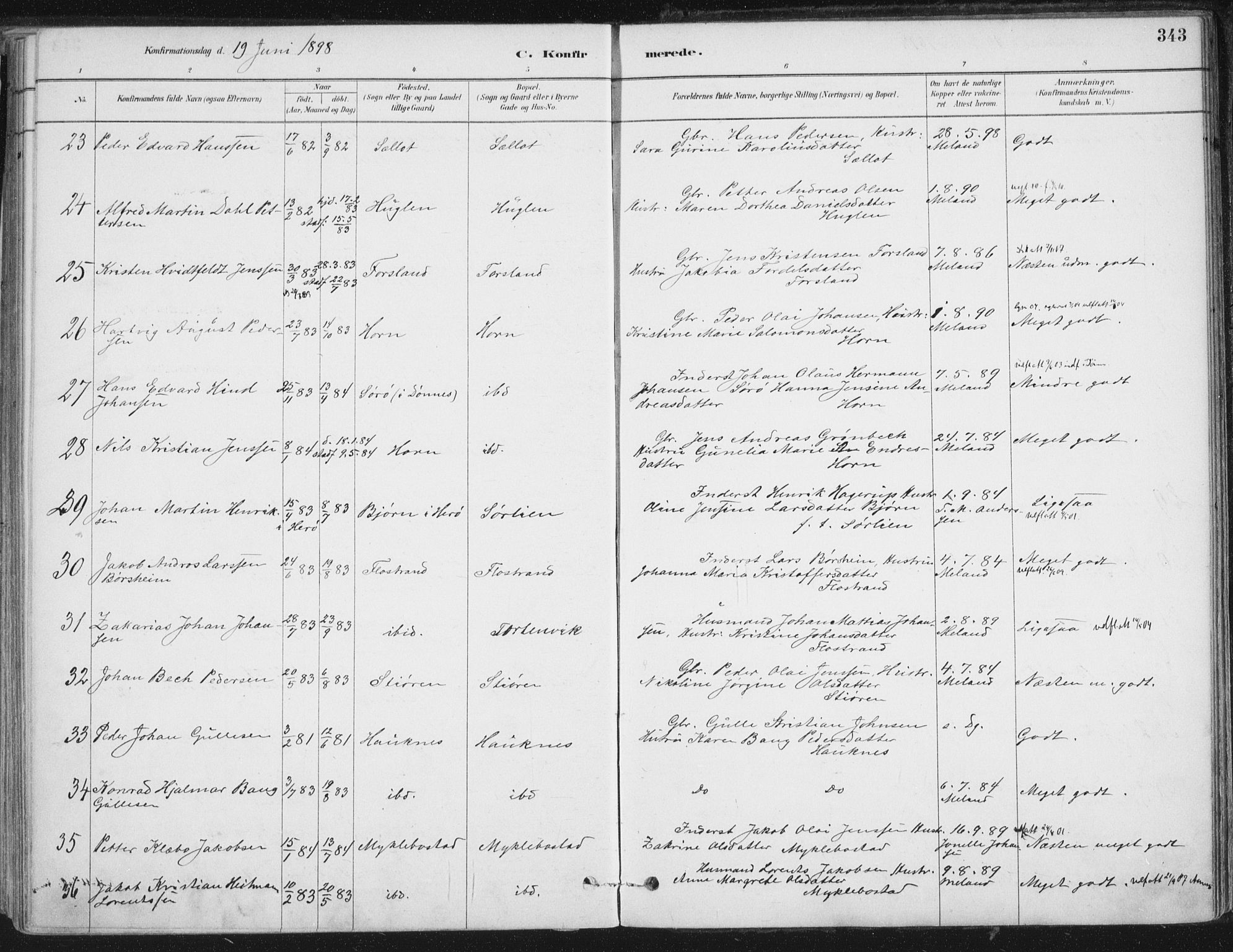 Ministerialprotokoller, klokkerbøker og fødselsregistre - Nordland, AV/SAT-A-1459/838/L0552: Parish register (official) no. 838A10, 1880-1910, p. 343