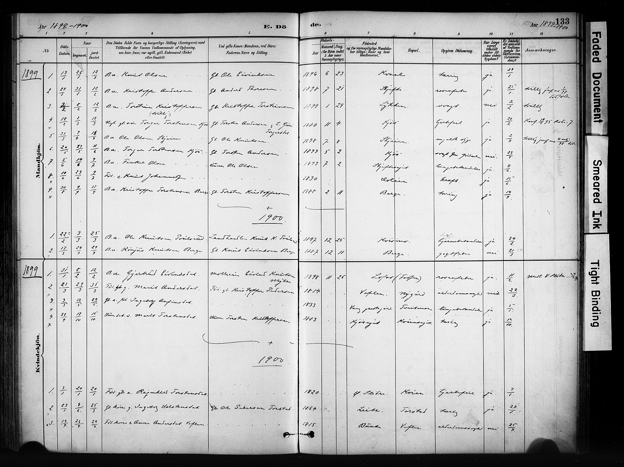 Vang prestekontor, Valdres, SAH/PREST-140/H/Ha/L0009: Parish register (official) no. 9, 1882-1914, p. 133
