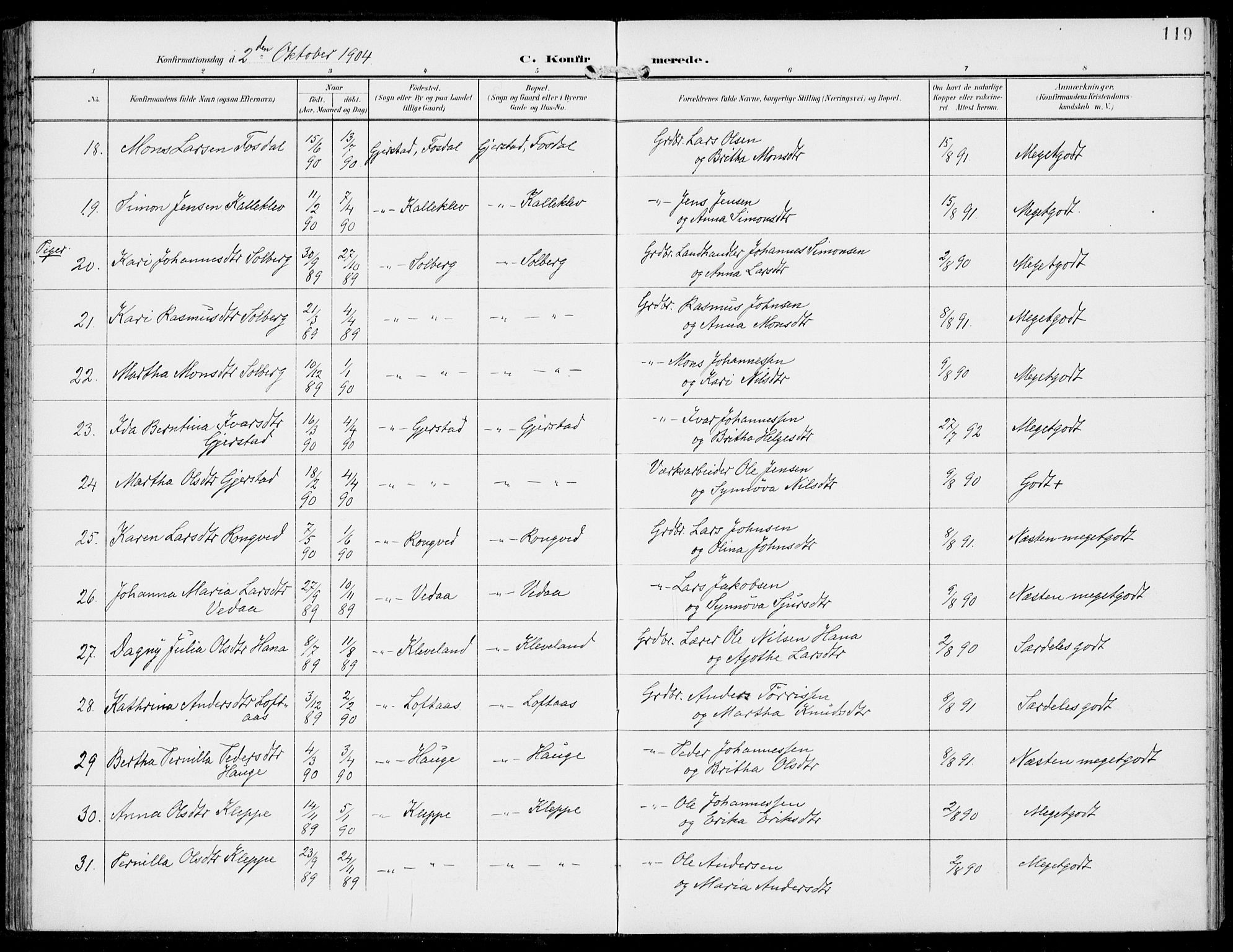 Haus sokneprestembete, AV/SAB-A-75601/H/Haa: Parish register (official) no. C  2, 1900-1915, p. 119