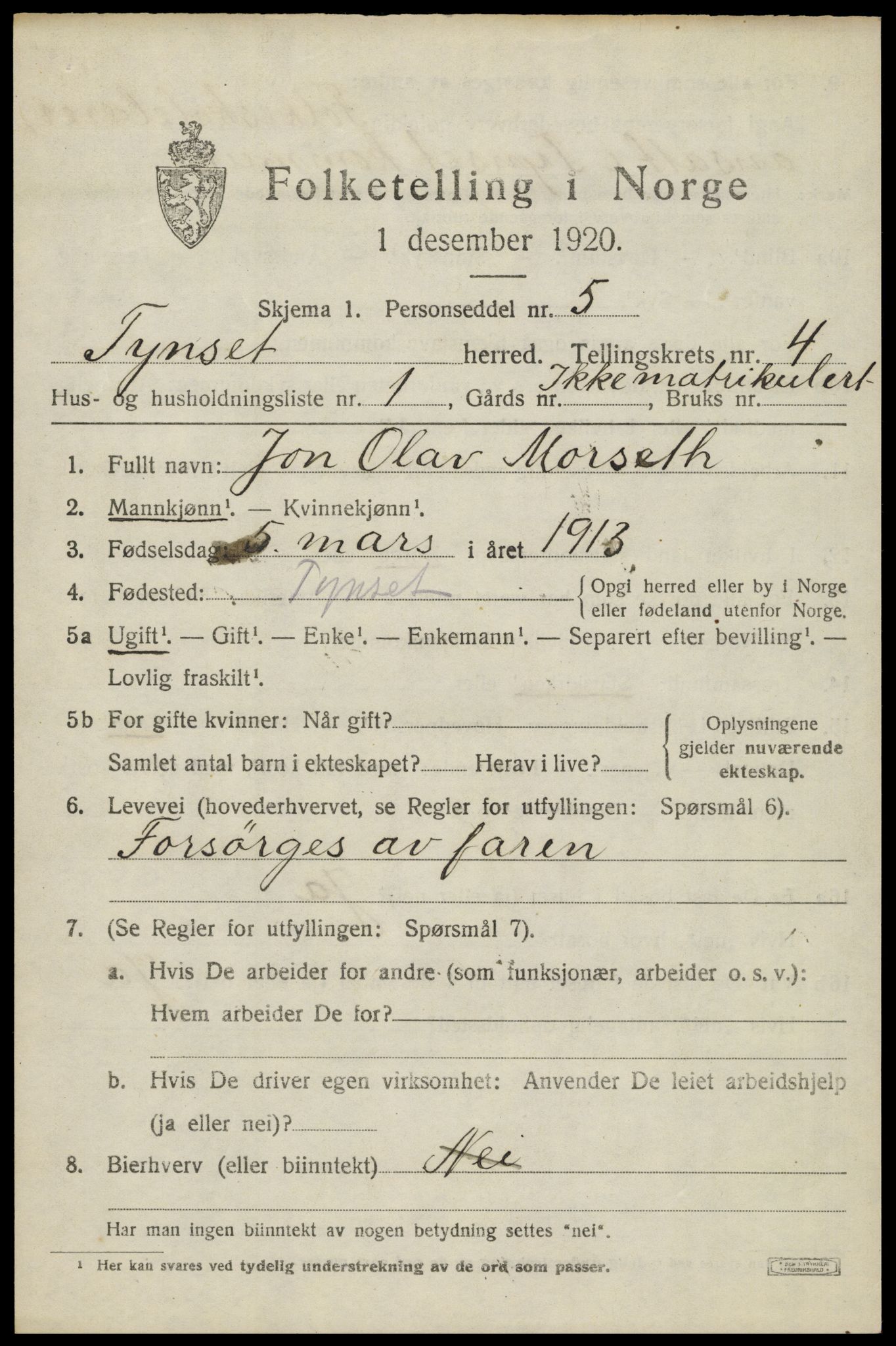 SAH, 1920 census for Tynset, 1920, p. 3184