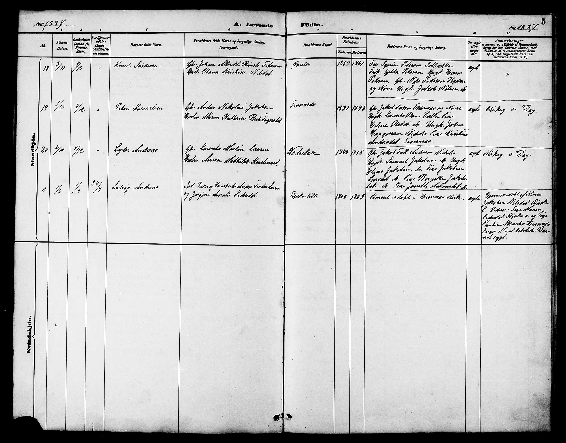 Ministerialprotokoller, klokkerbøker og fødselsregistre - Nordland, AV/SAT-A-1459/826/L0383: Parish register (copy) no. 826C03, 1887-1896, p. 5