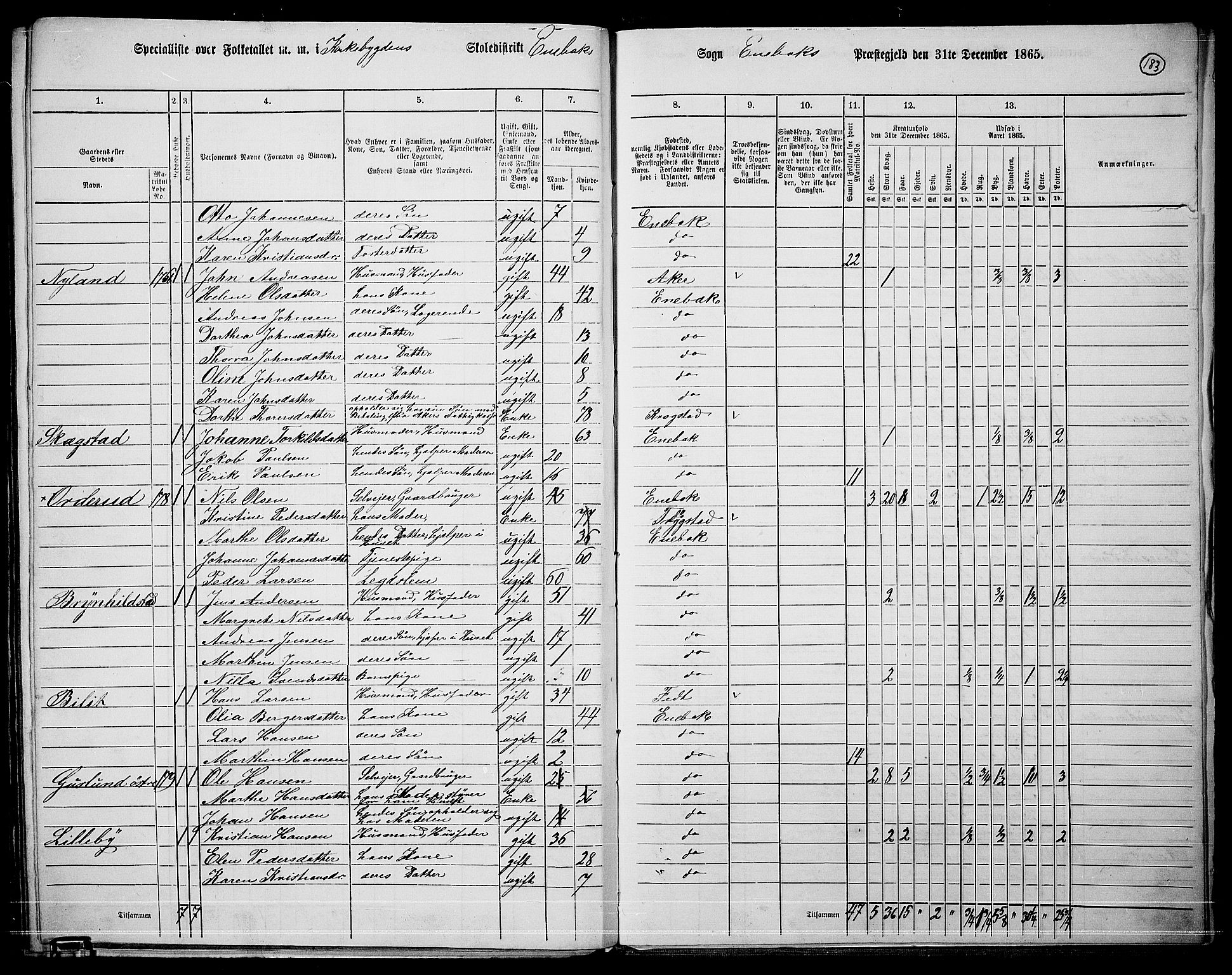 RA, 1865 census for Enebakk, 1865, p. 160