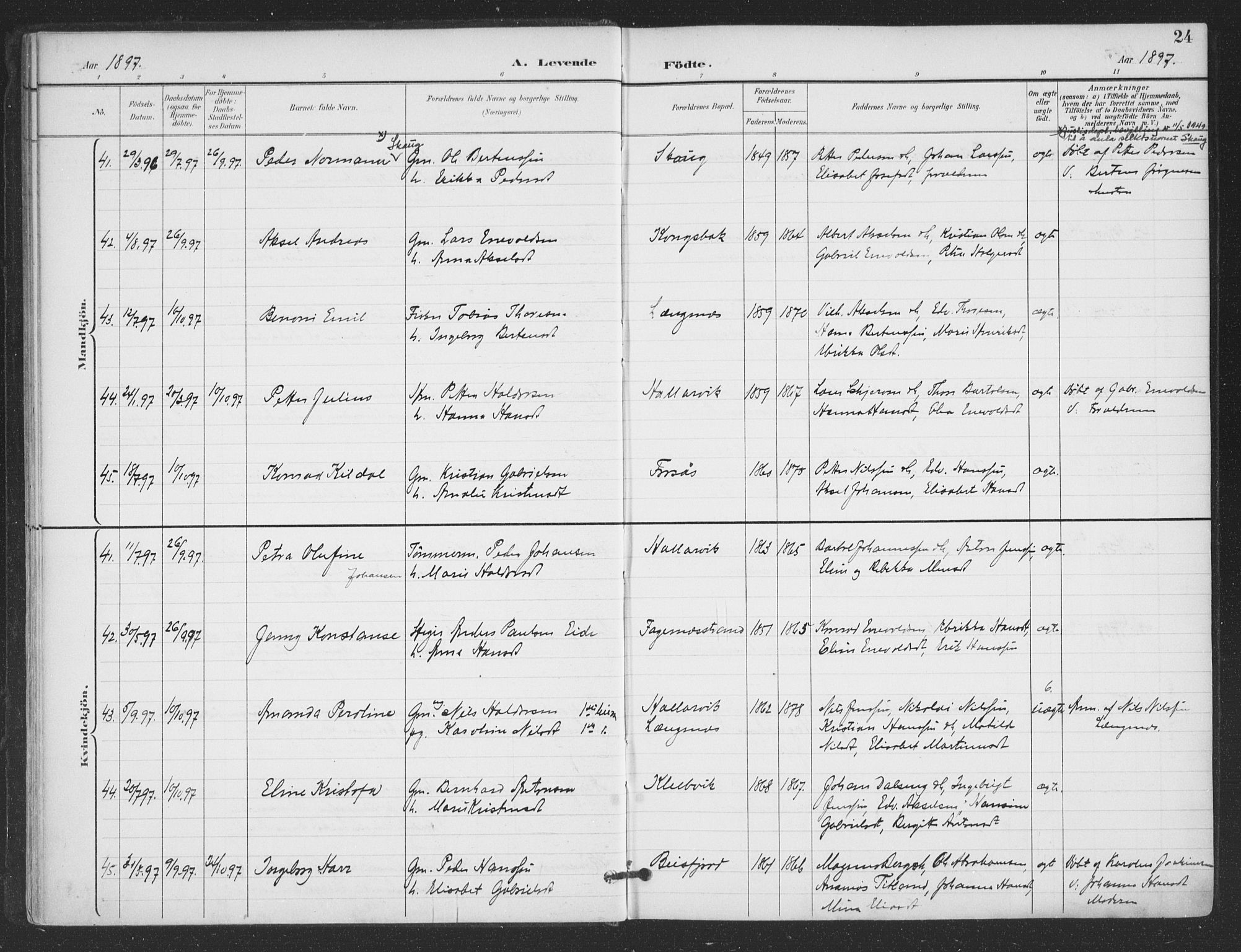 Ministerialprotokoller, klokkerbøker og fødselsregistre - Nordland, AV/SAT-A-1459/866/L0939: Parish register (official) no. 866A02, 1894-1906, p. 24