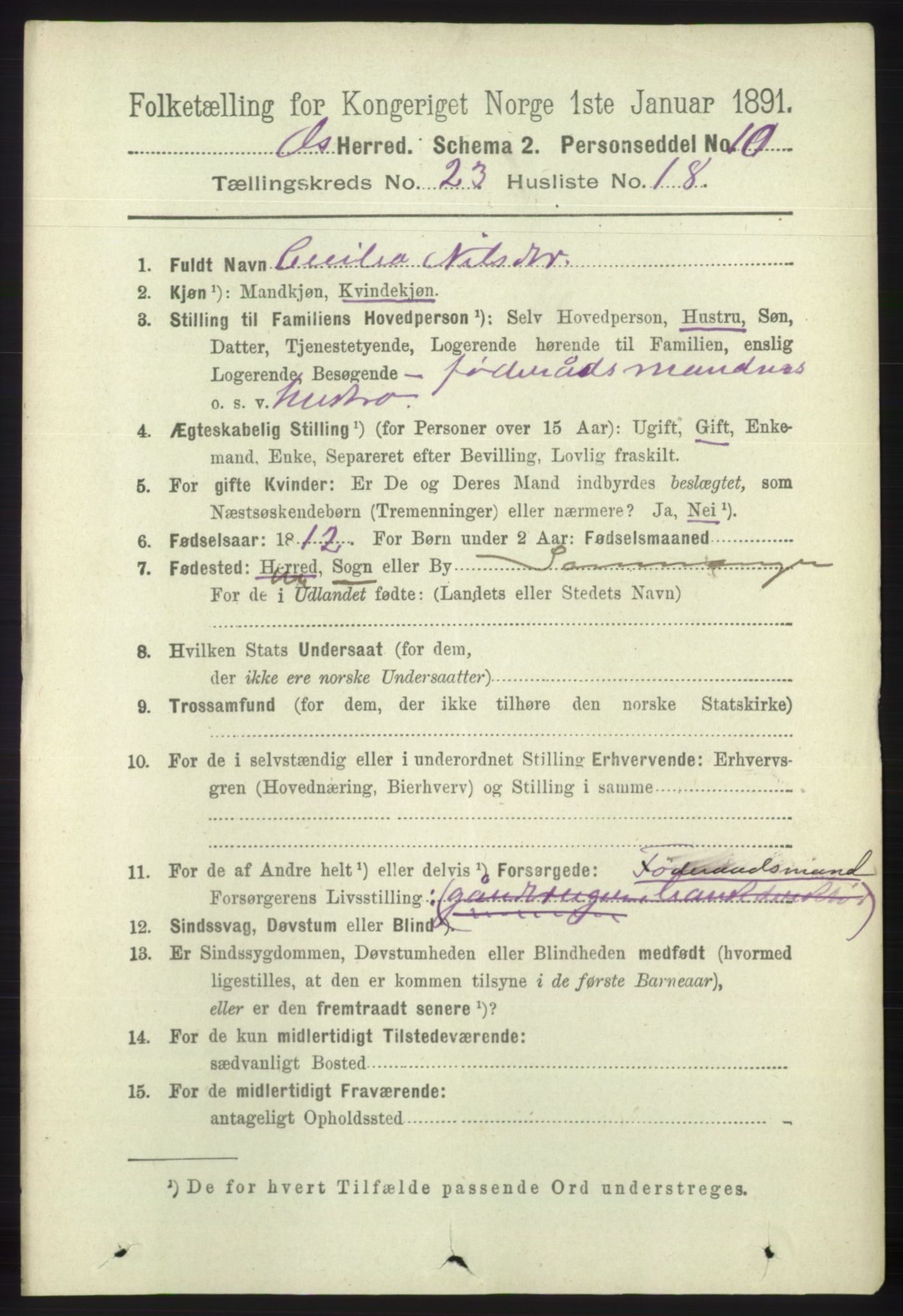 RA, 1891 census for 1243 Os, 1891, p. 5184