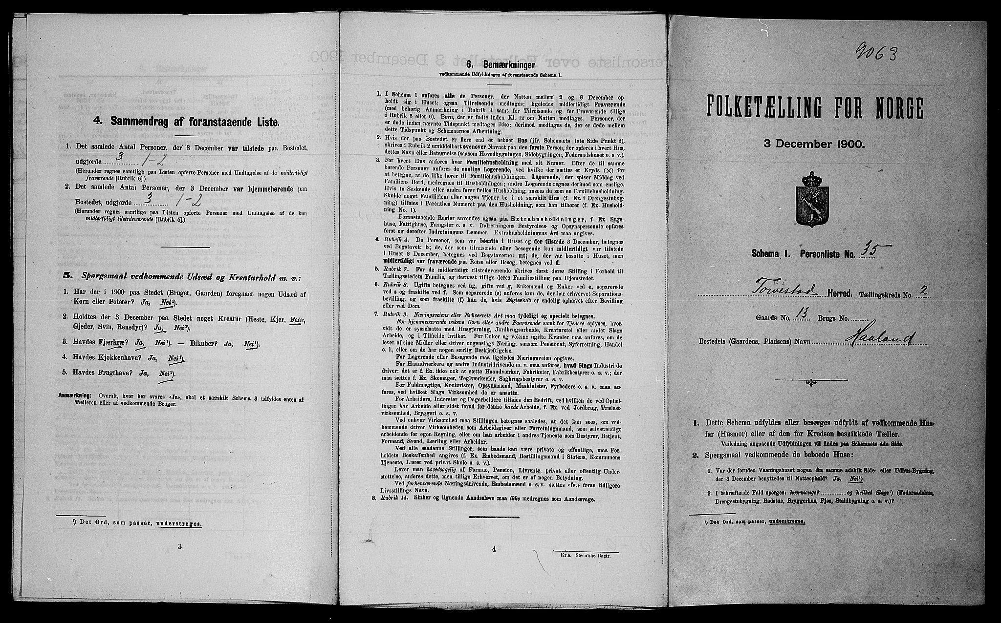 SAST, 1900 census for Torvastad, 1900, p. 310