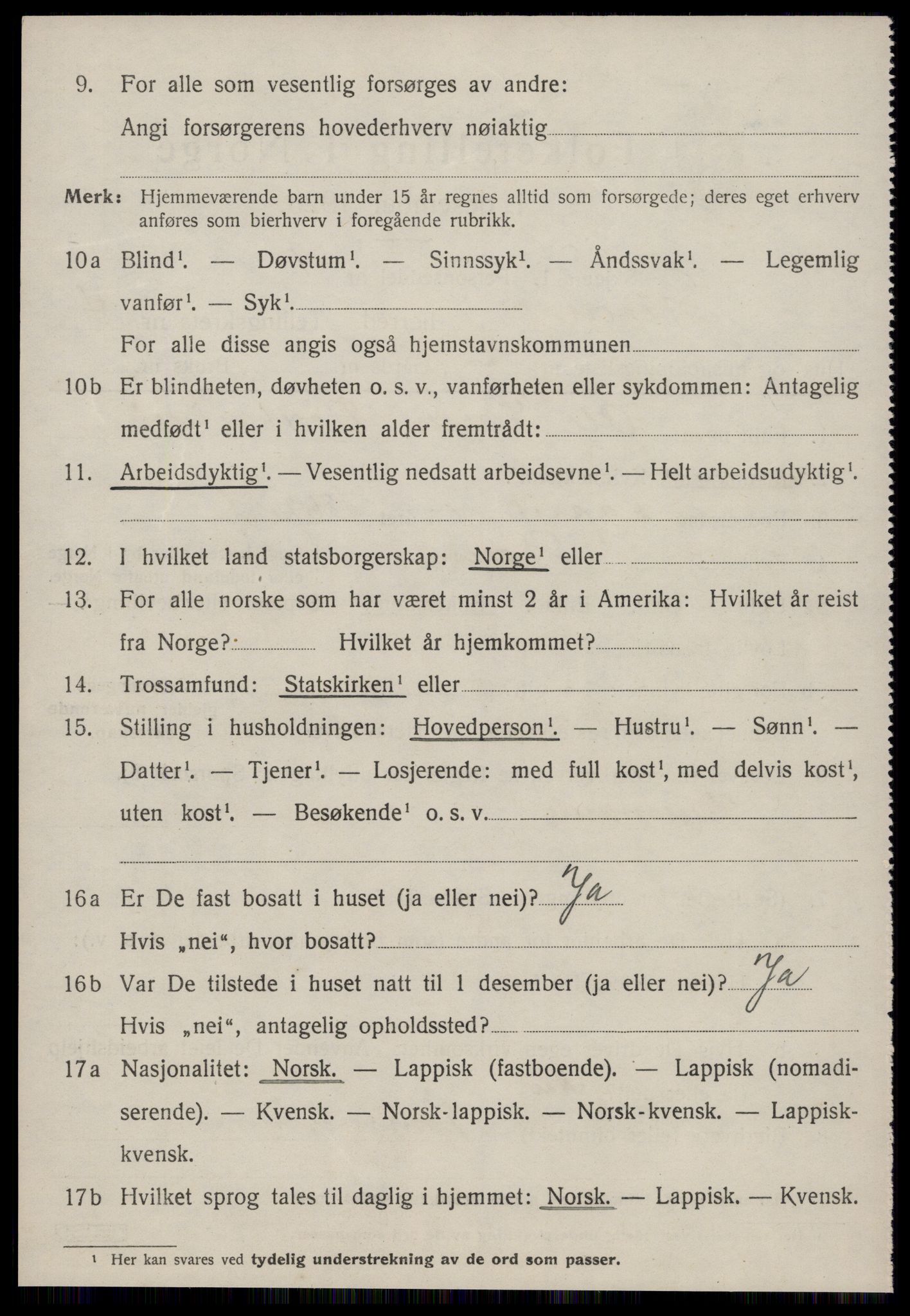 SAT, 1920 census for Støren, 1920, p. 2963