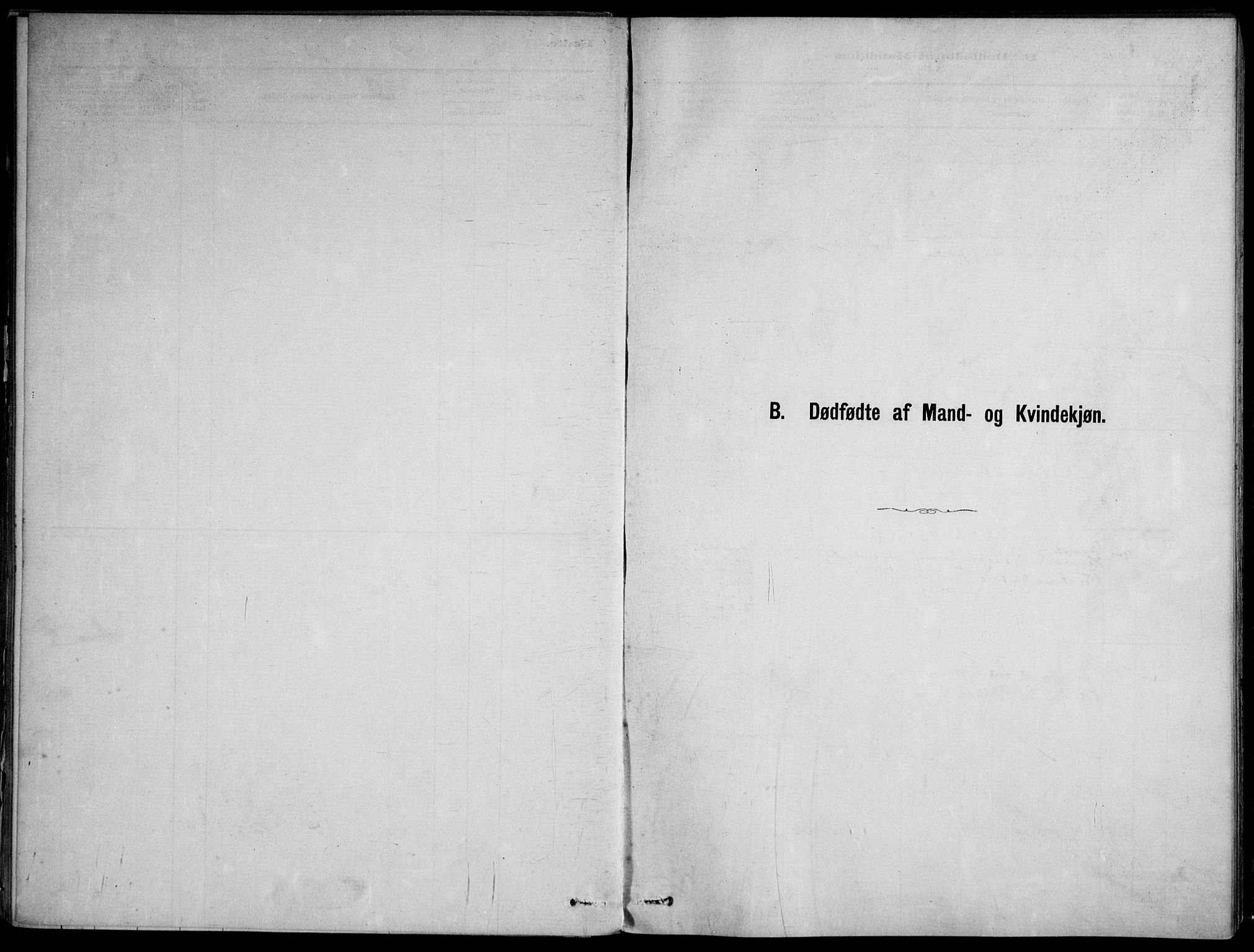 Skoger kirkebøker, AV/SAKO-A-59/F/Fb/L0001: Parish register (official) no. II 1, 1885-1913