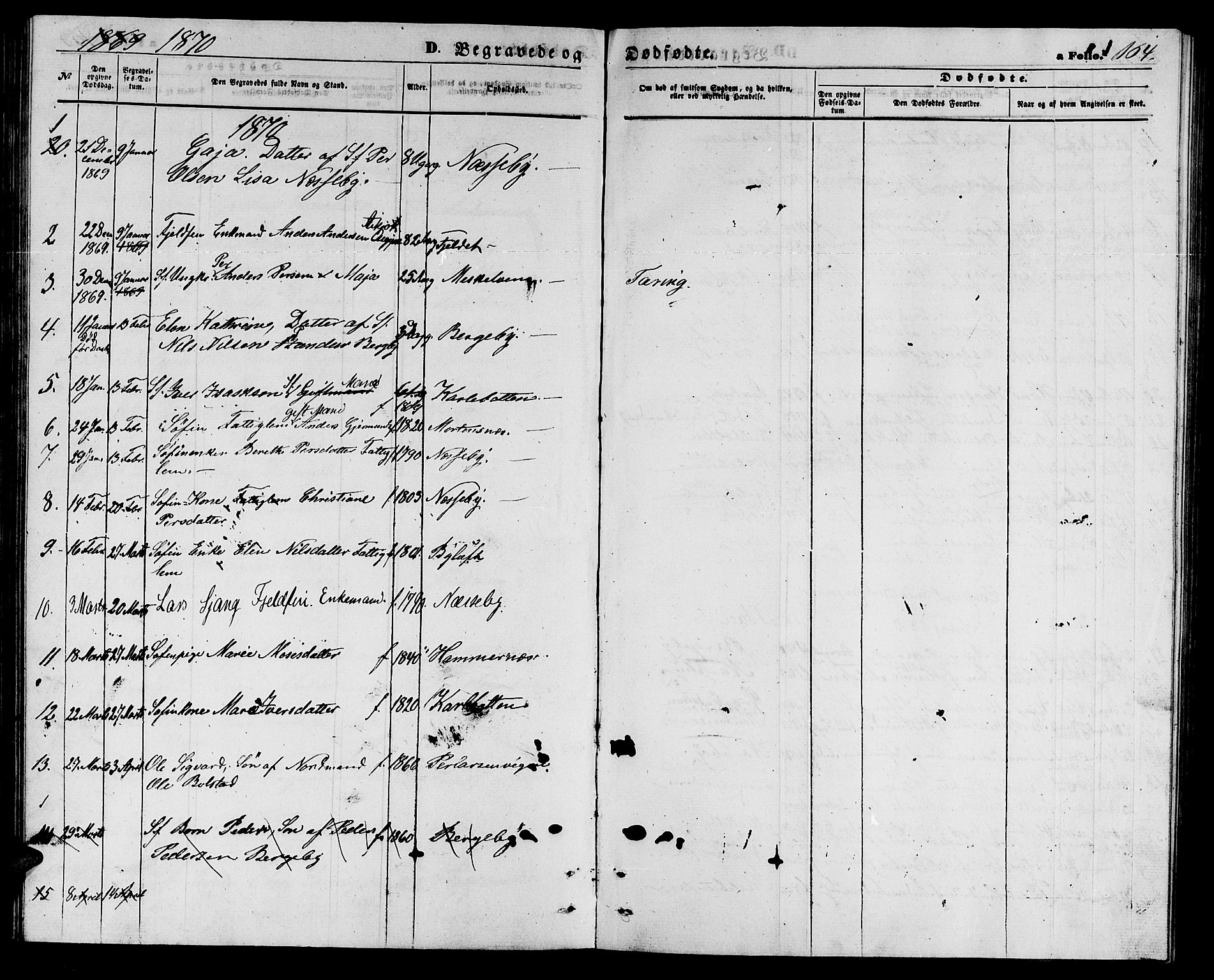 Nesseby sokneprestkontor, SATØ/S-1330/H/Hb/L0003klokker: Parish register (copy) no. 3, 1869-1876, p. 164