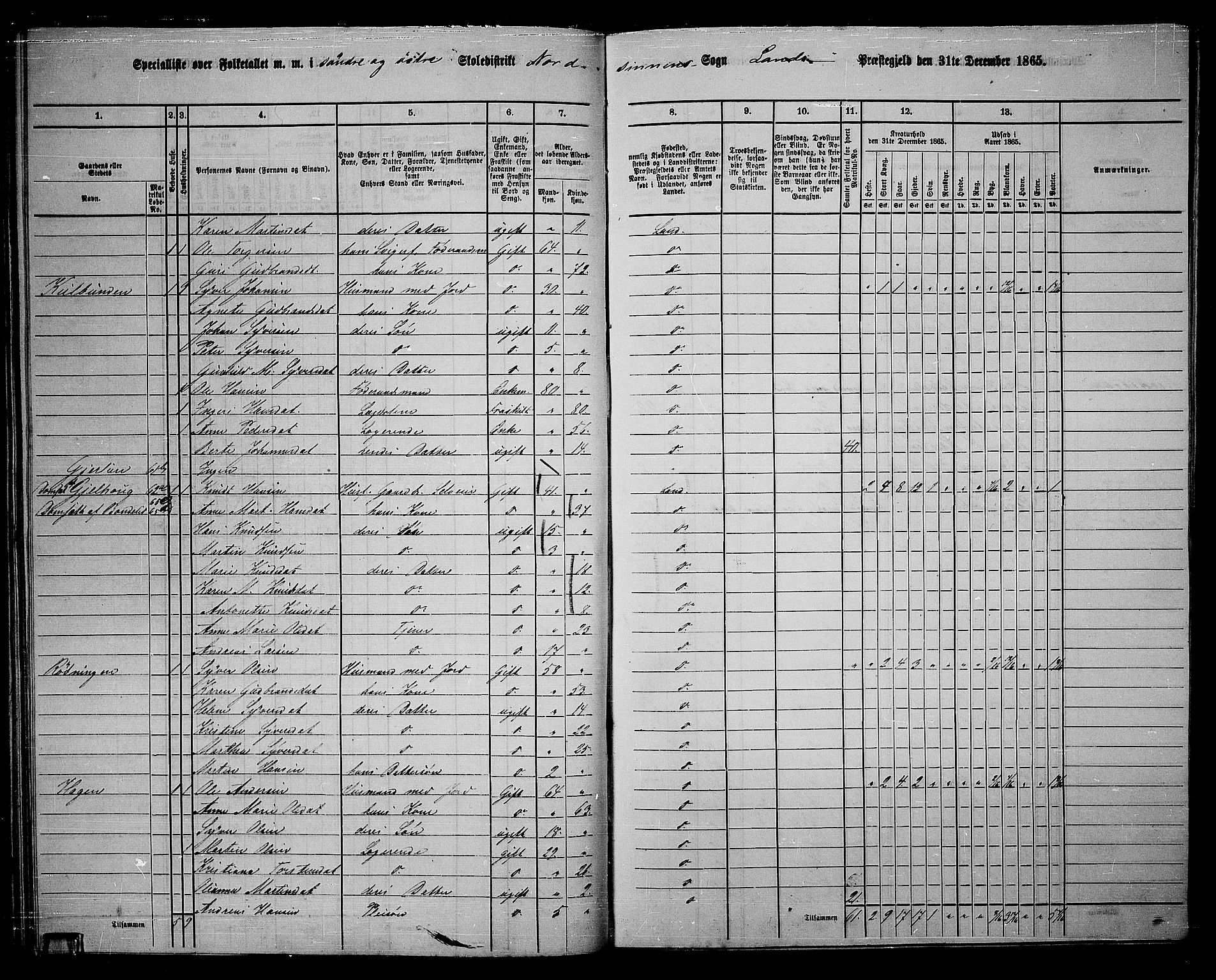 RA, 1865 census for Land, 1865, p. 63