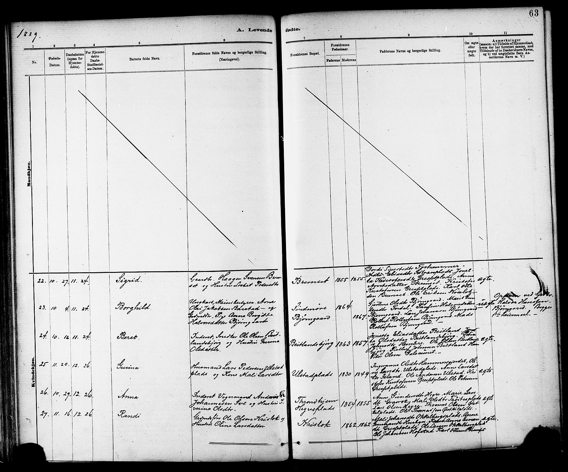 Ministerialprotokoller, klokkerbøker og fødselsregistre - Nord-Trøndelag, SAT/A-1458/703/L0030: Parish register (official) no. 703A03, 1880-1892, p. 63