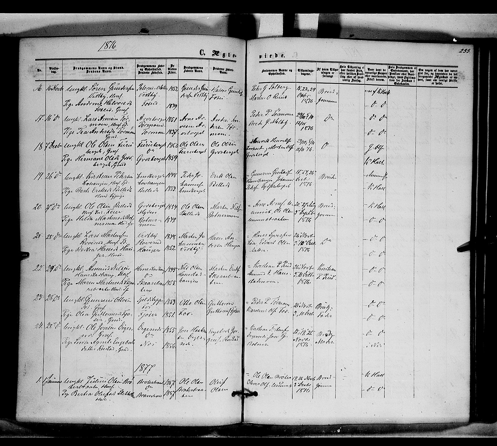 Brandval prestekontor, SAH/PREST-034/H/Ha/Haa/L0001: Parish register (official) no. 1, 1864-1879, p. 233