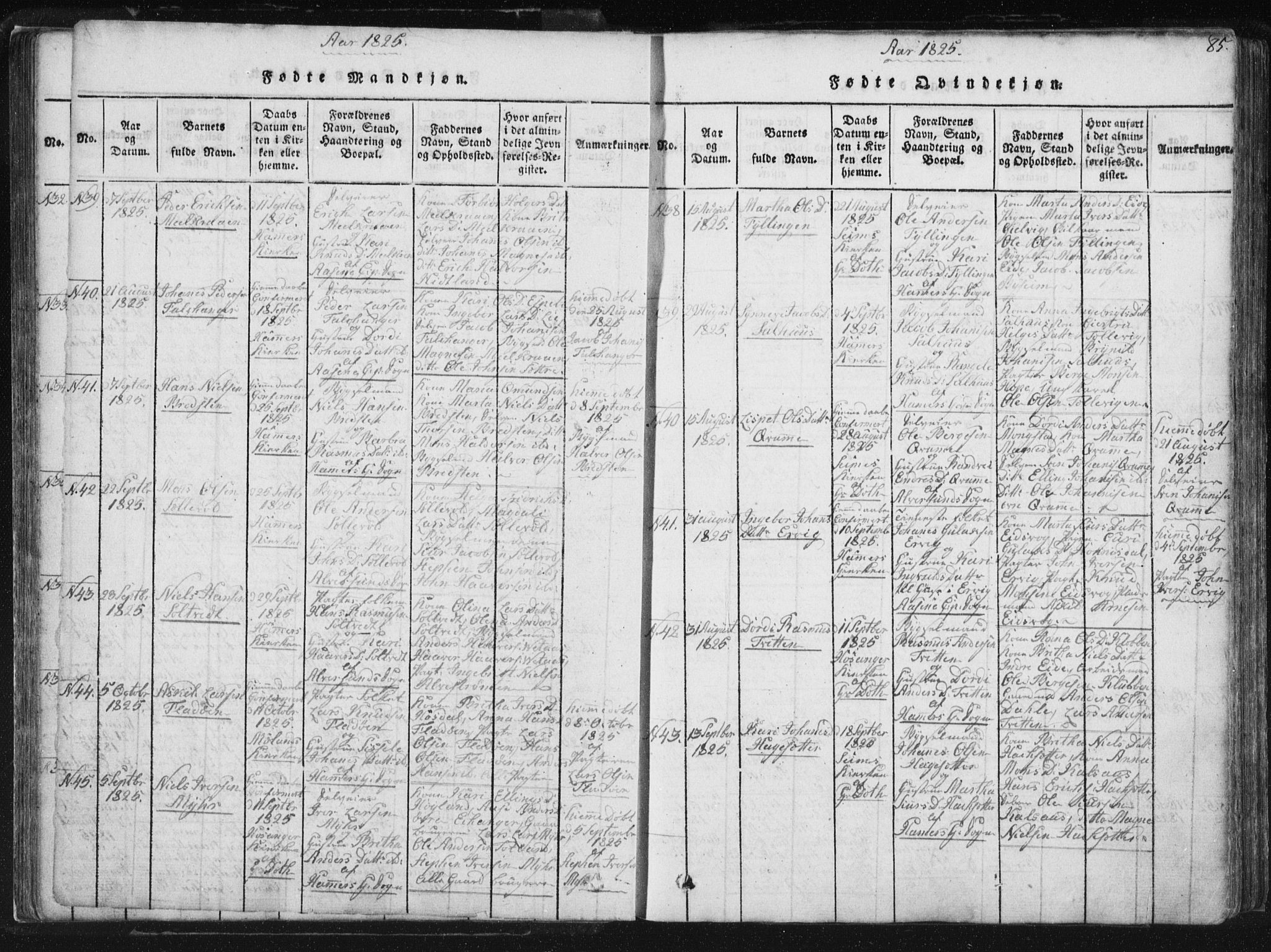 Hamre sokneprestembete, AV/SAB-A-75501/H/Ha/Haa/Haaa/L0010: Parish register (official) no. A 10, 1816-1826, p. 85