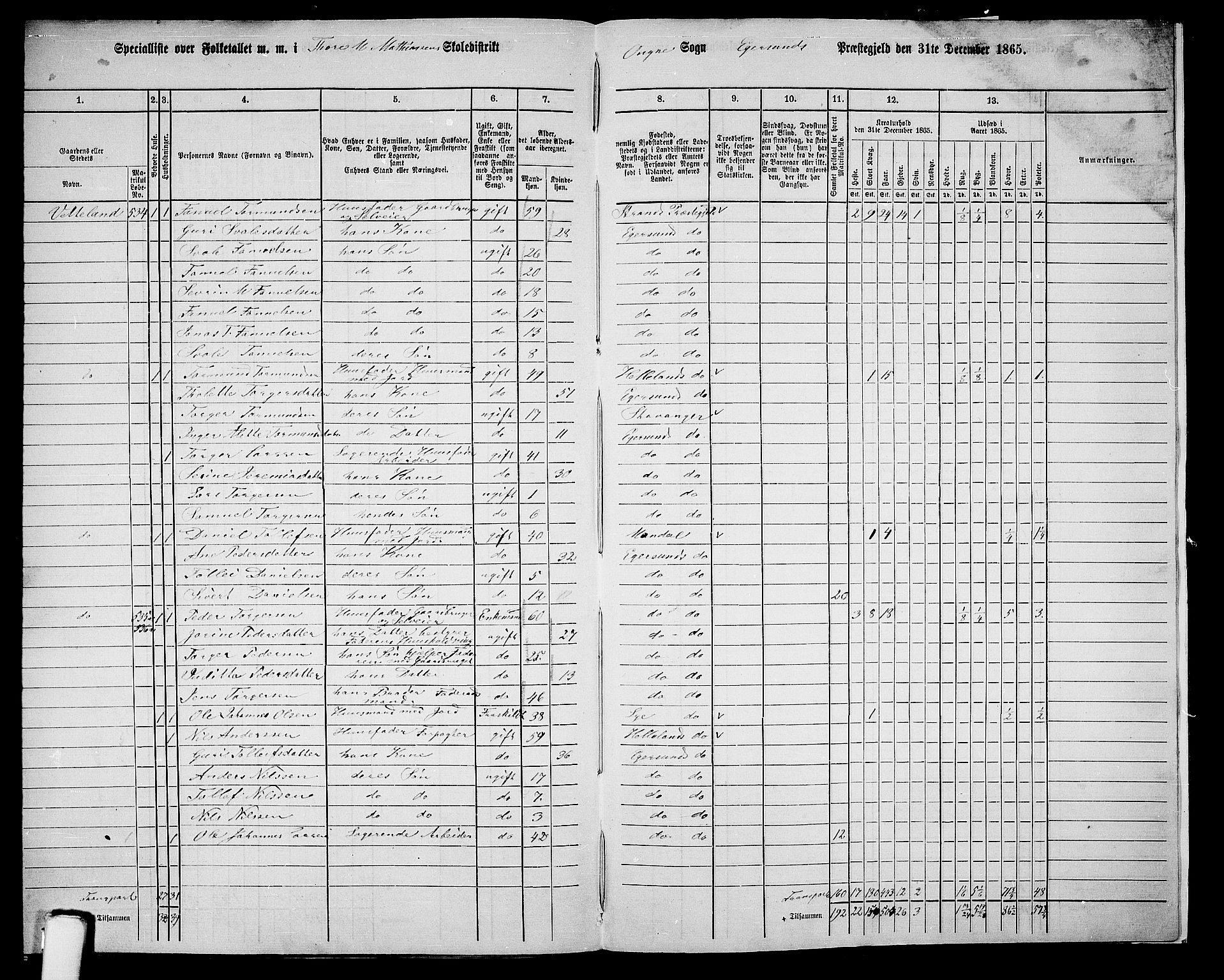 RA, 1865 census for Eigersund/Eigersund og Ogna, 1865, p. 163