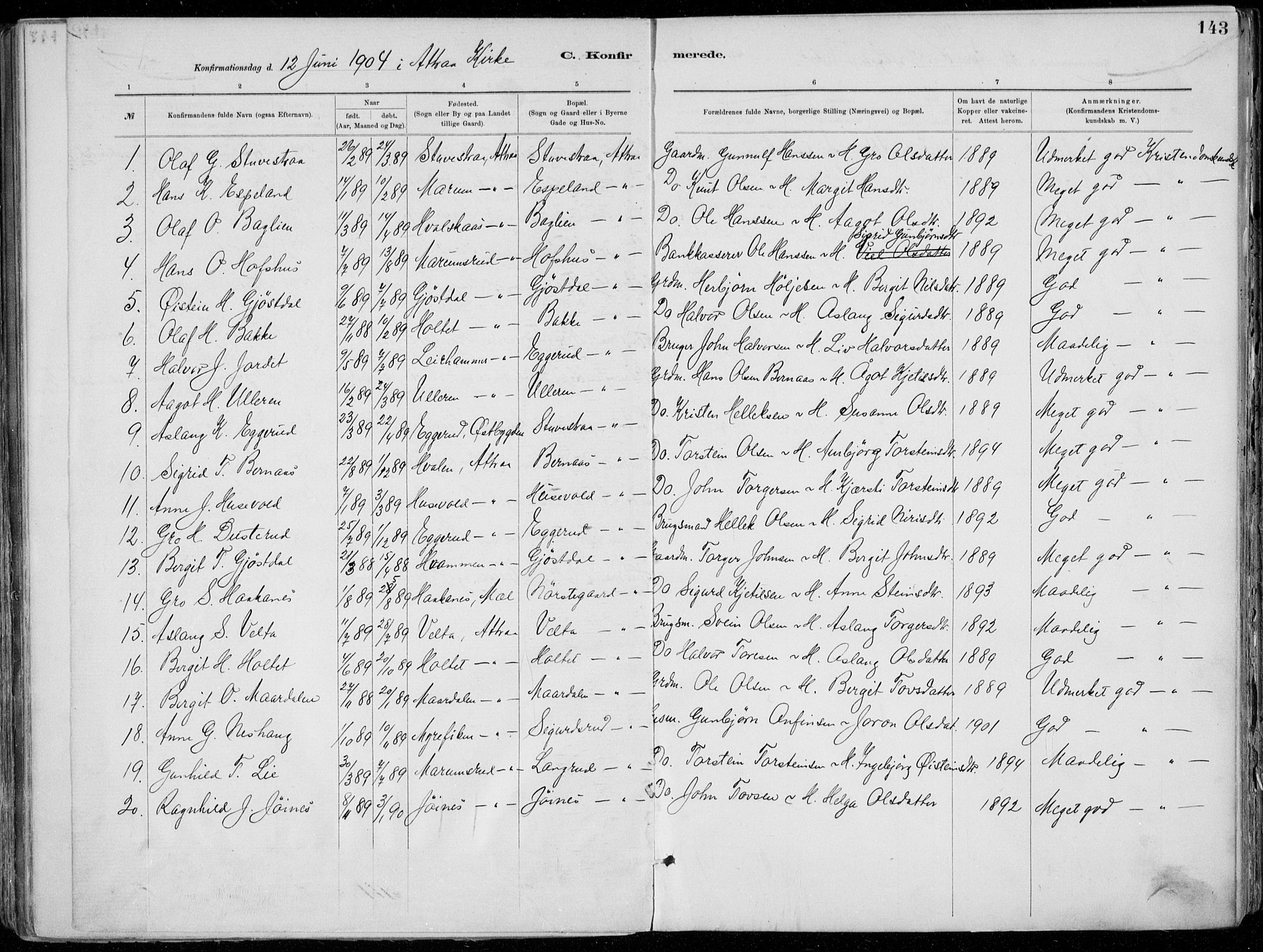 Tinn kirkebøker, SAKO/A-308/F/Fa/L0007: Parish register (official) no. I 7, 1878-1922, p. 143