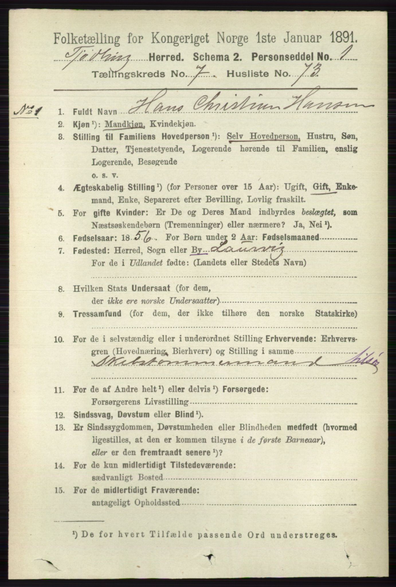 RA, 1891 census for 0725 Tjølling, 1891, p. 4132