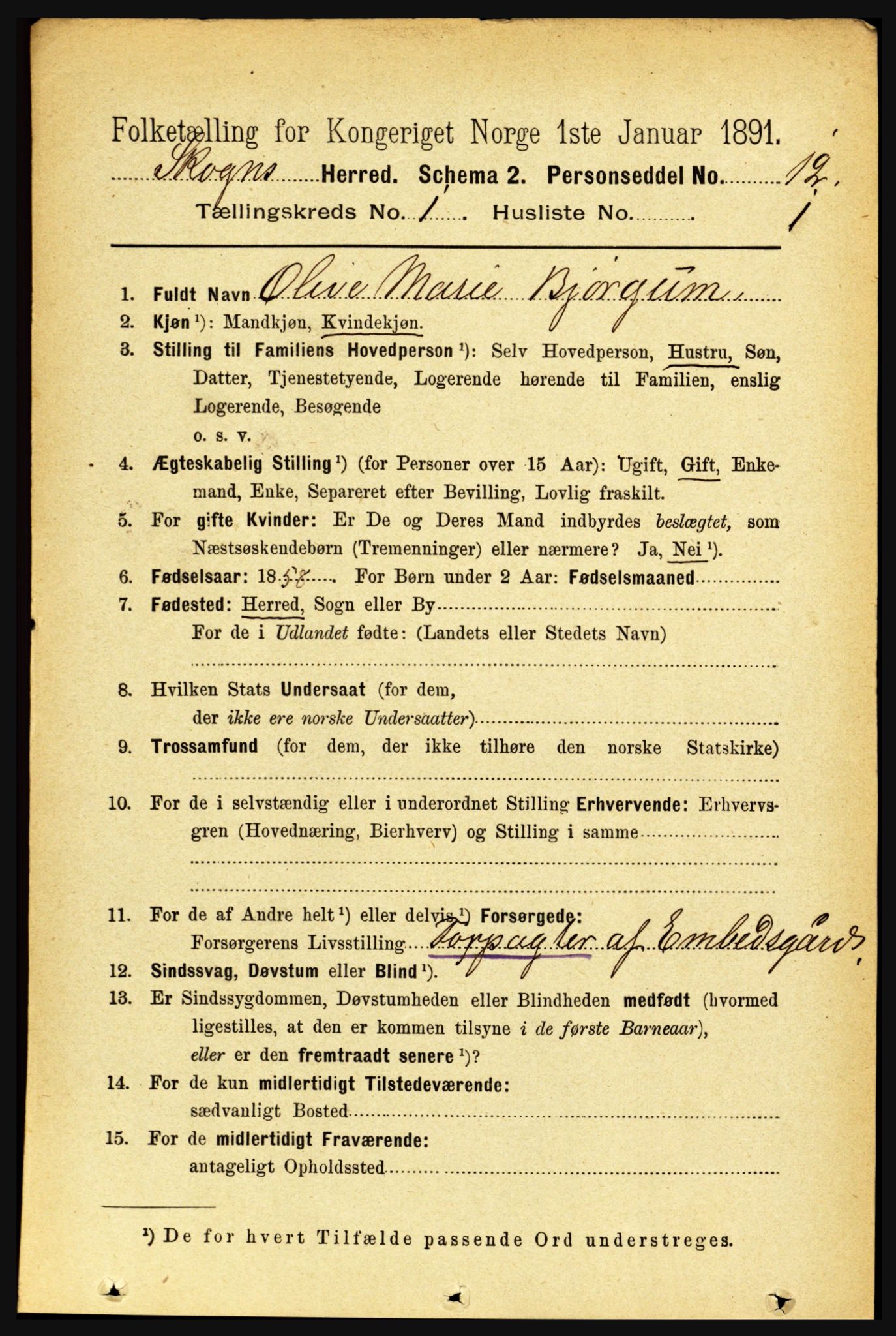 RA, 1891 census for 1719 Skogn, 1891, p. 158