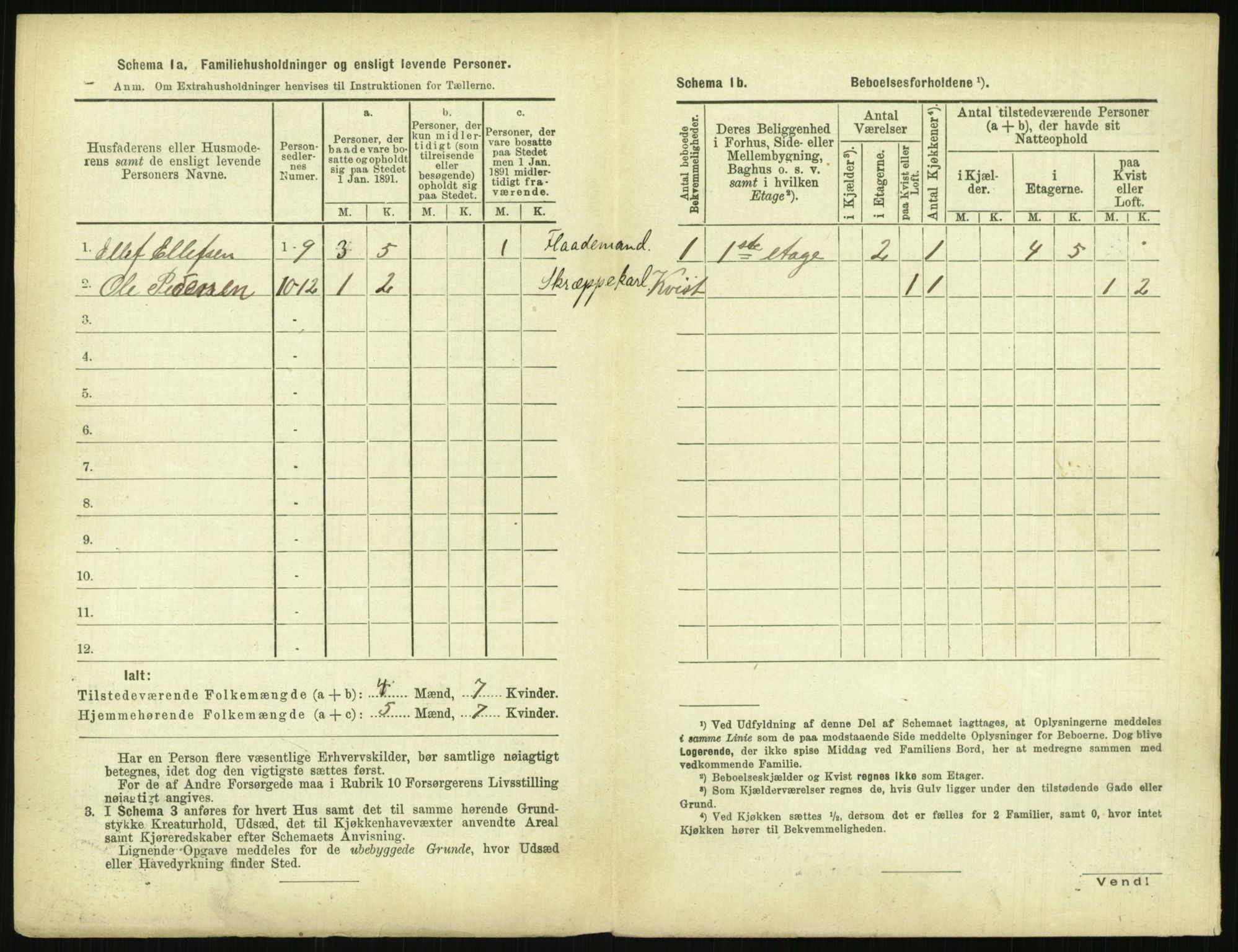 RA, 1891 census for 0806 Skien, 1891, p. 1213