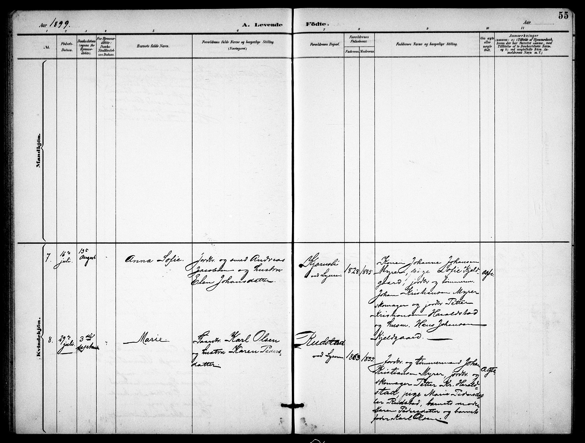 Enebakk prestekontor Kirkebøker, AV/SAO-A-10171c/G/Gb/L0002: Parish register (copy) no. II 2, 1891-1903, p. 55