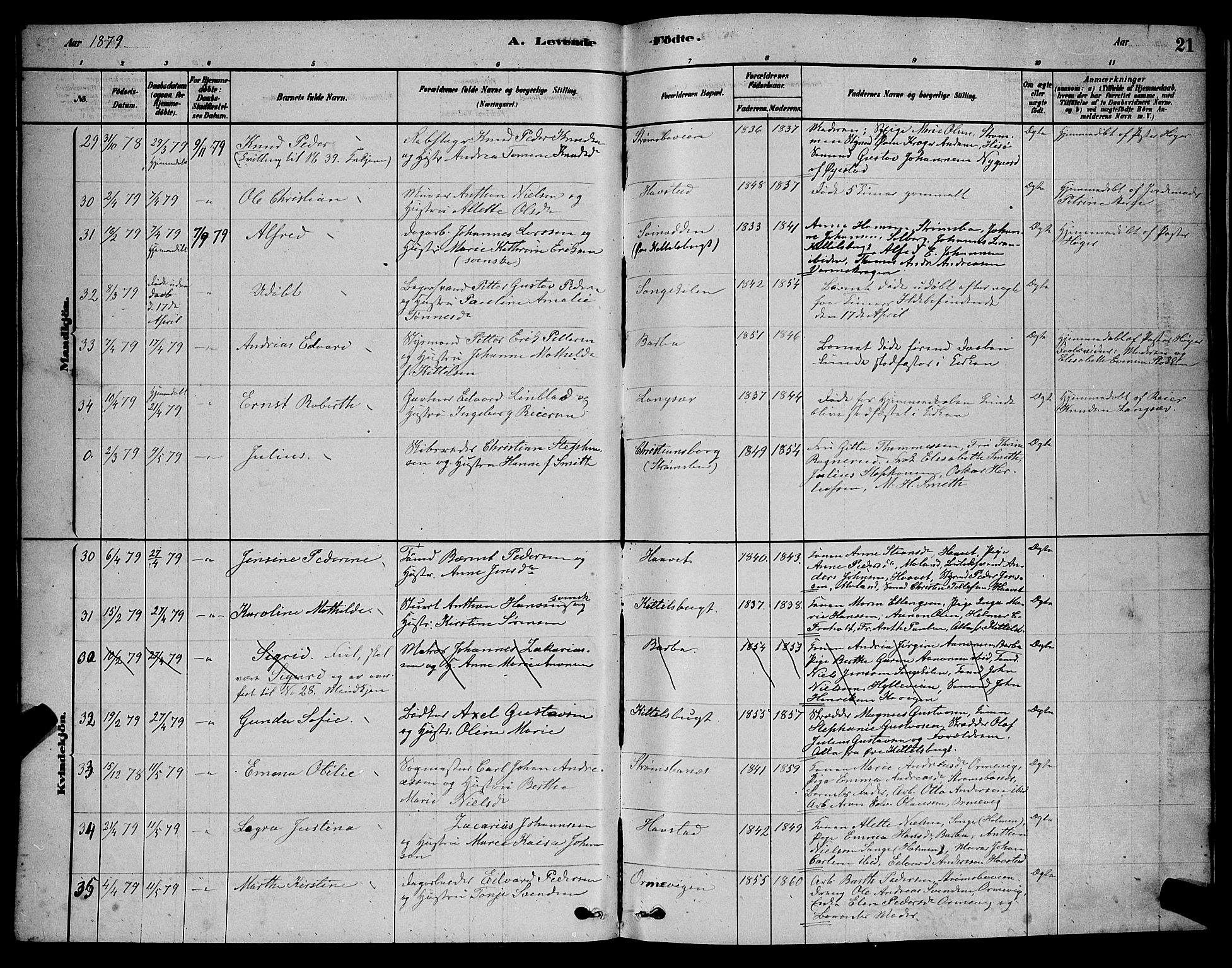 Barbu sokneprestkontor, AV/SAK-1111-0003/F/Fb/L0001: Parish register (copy) no. B 1, 1878-1890, p. 21