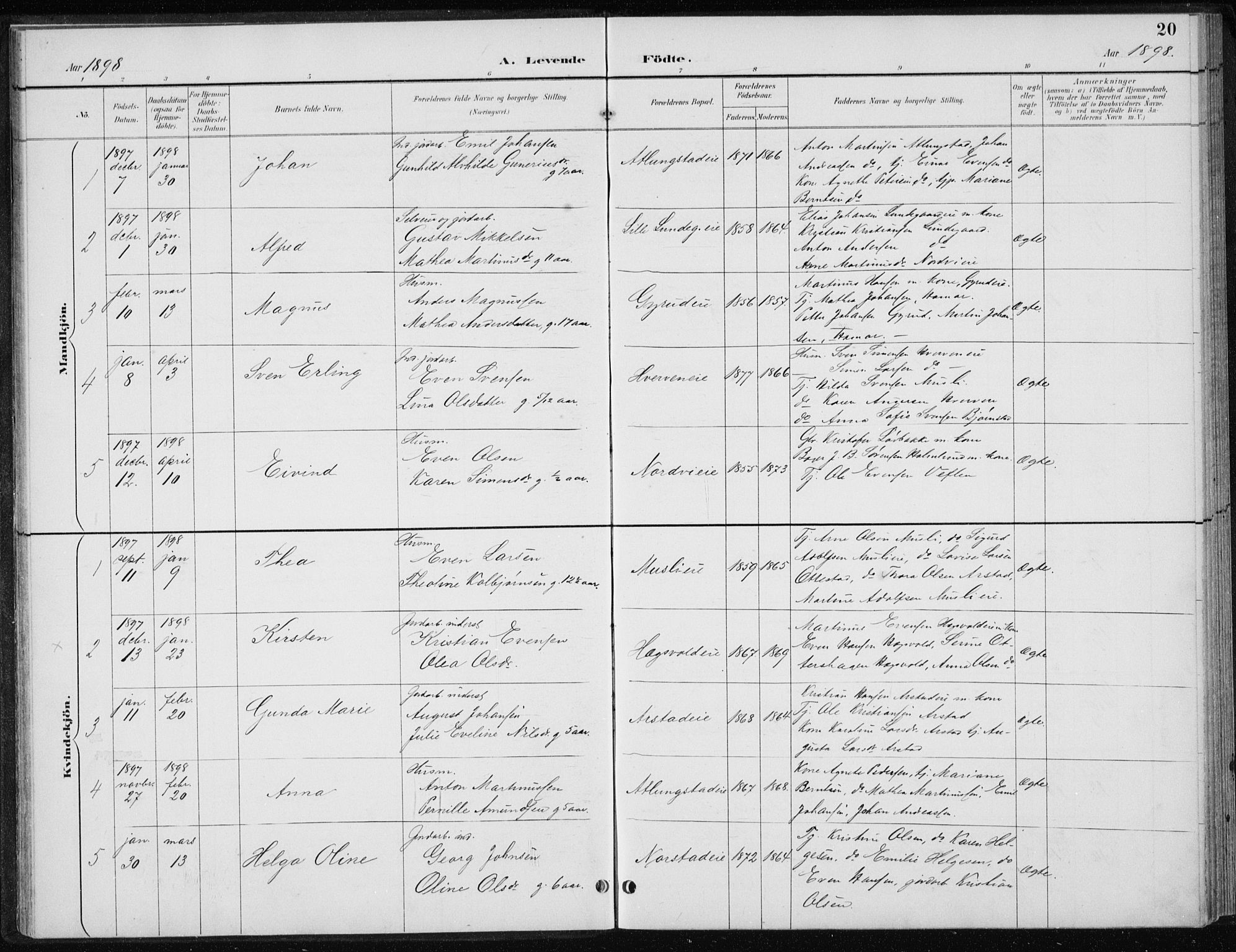 Stange prestekontor, SAH/PREST-002/L/L0010: Parish register (copy) no. 10, 1894-1905, p. 20