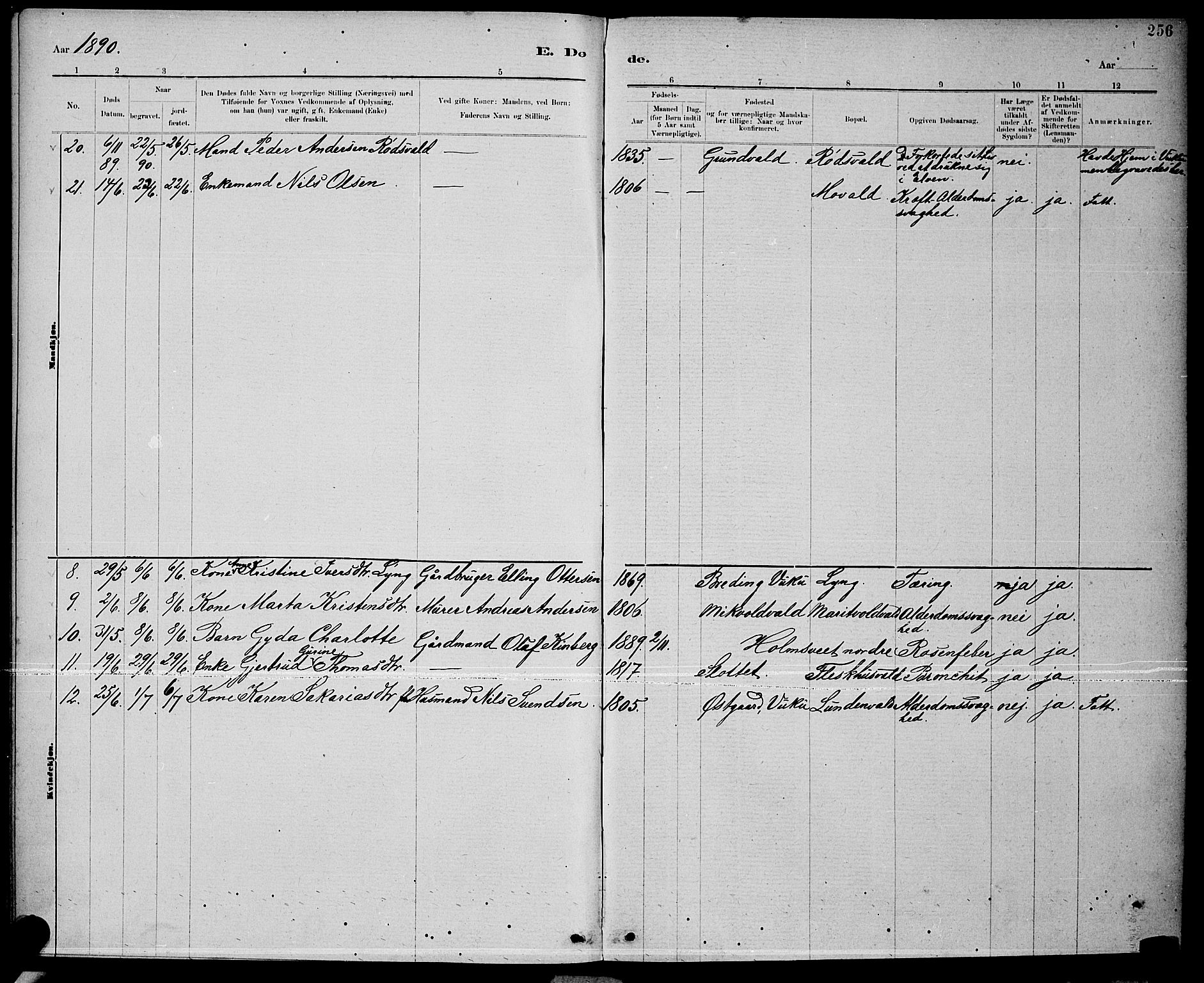 Ministerialprotokoller, klokkerbøker og fødselsregistre - Nord-Trøndelag, AV/SAT-A-1458/723/L0256: Parish register (copy) no. 723C04, 1879-1890, p. 256