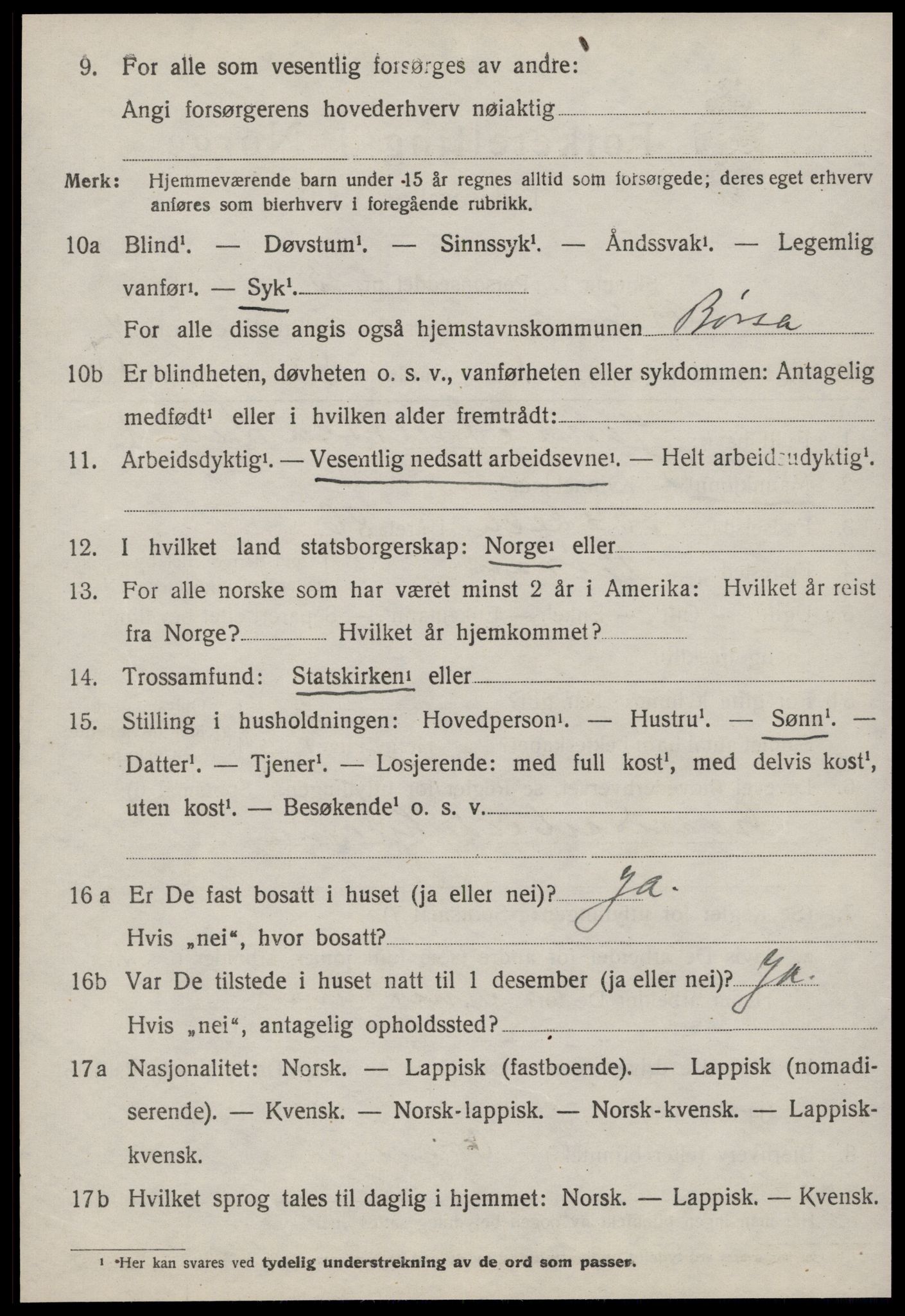 SAT, 1920 census for Børsa, 1920, p. 2534