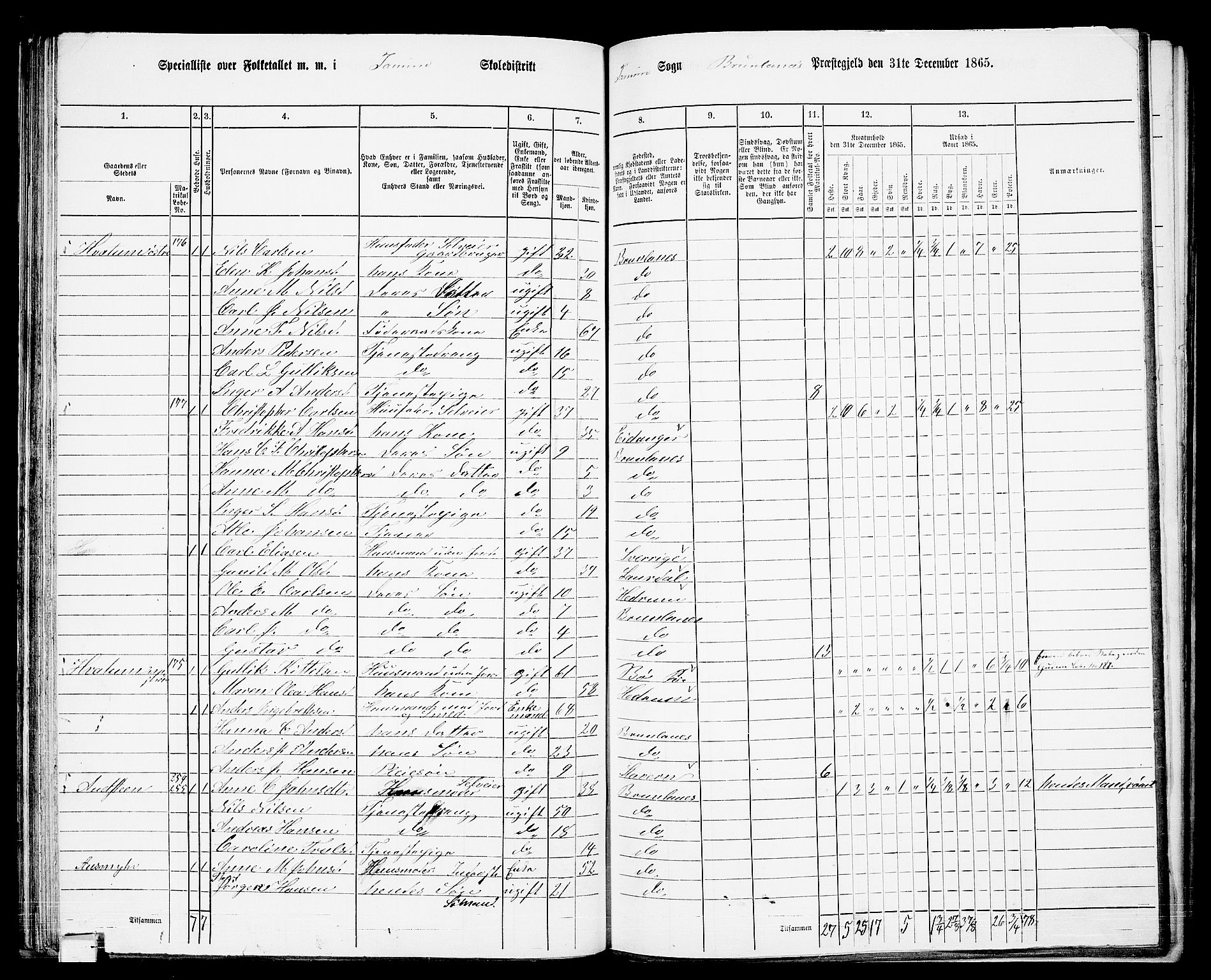 RA, 1865 census for Brunlanes, 1865, p. 59