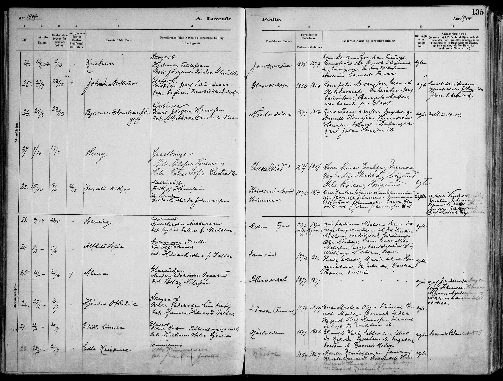 Skoger kirkebøker, AV/SAKO-A-59/F/Fa/L0006: Parish register (official) no. I 6, 1885-1910, p. 135