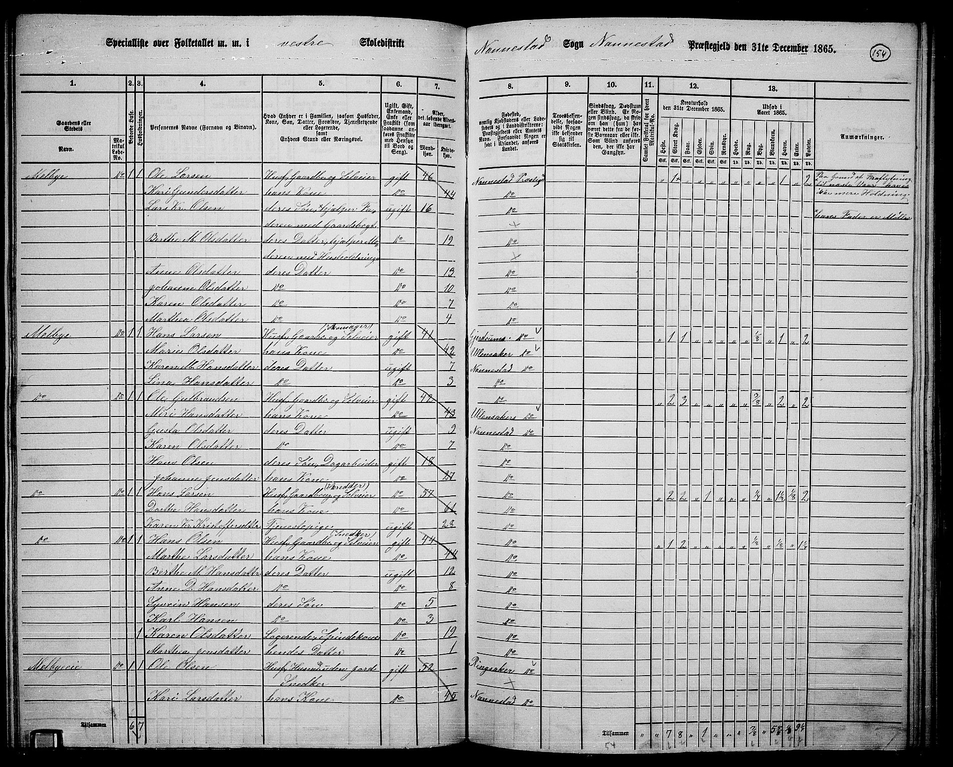 RA, 1865 census for Nannestad, 1865, p. 37