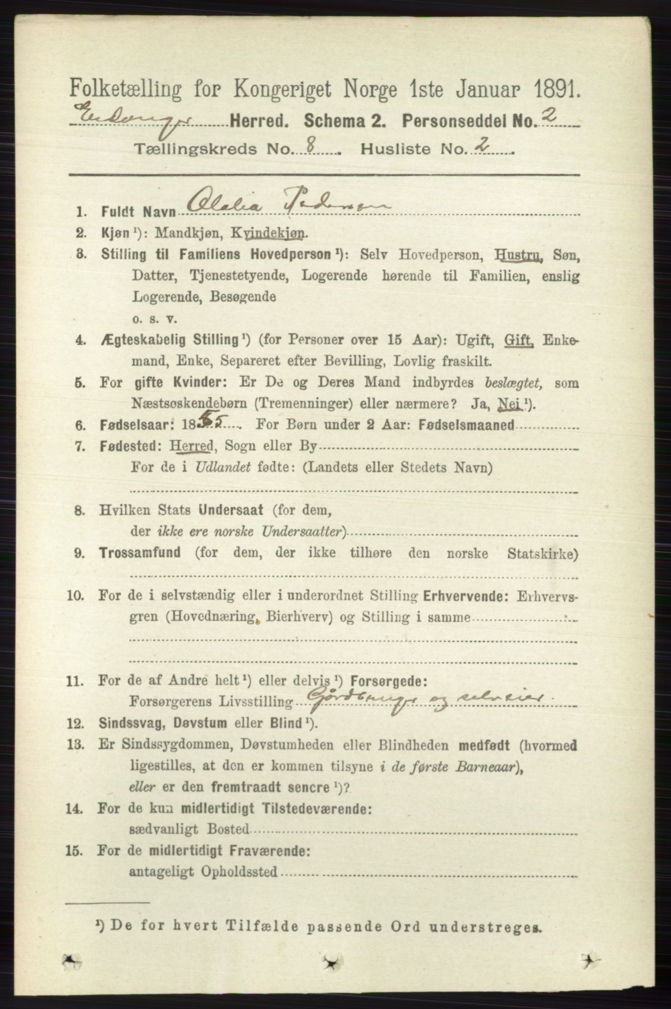 RA, 1891 census for 0813 Eidanger, 1891, p. 2994