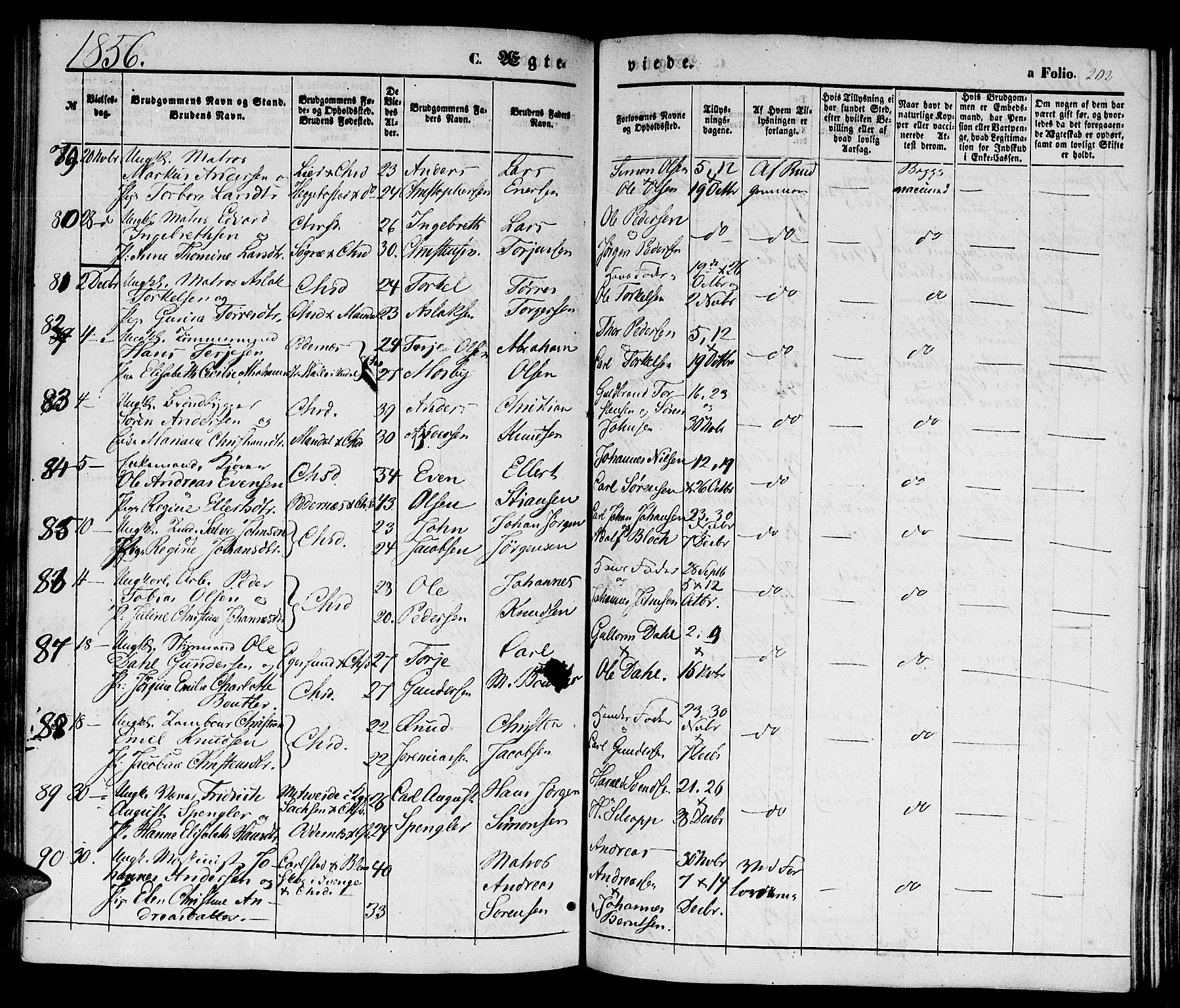 Kristiansand domprosti, SAK/1112-0006/F/Fb/L0011: Parish register (copy) no. B 11, 1851-1861, p. 202