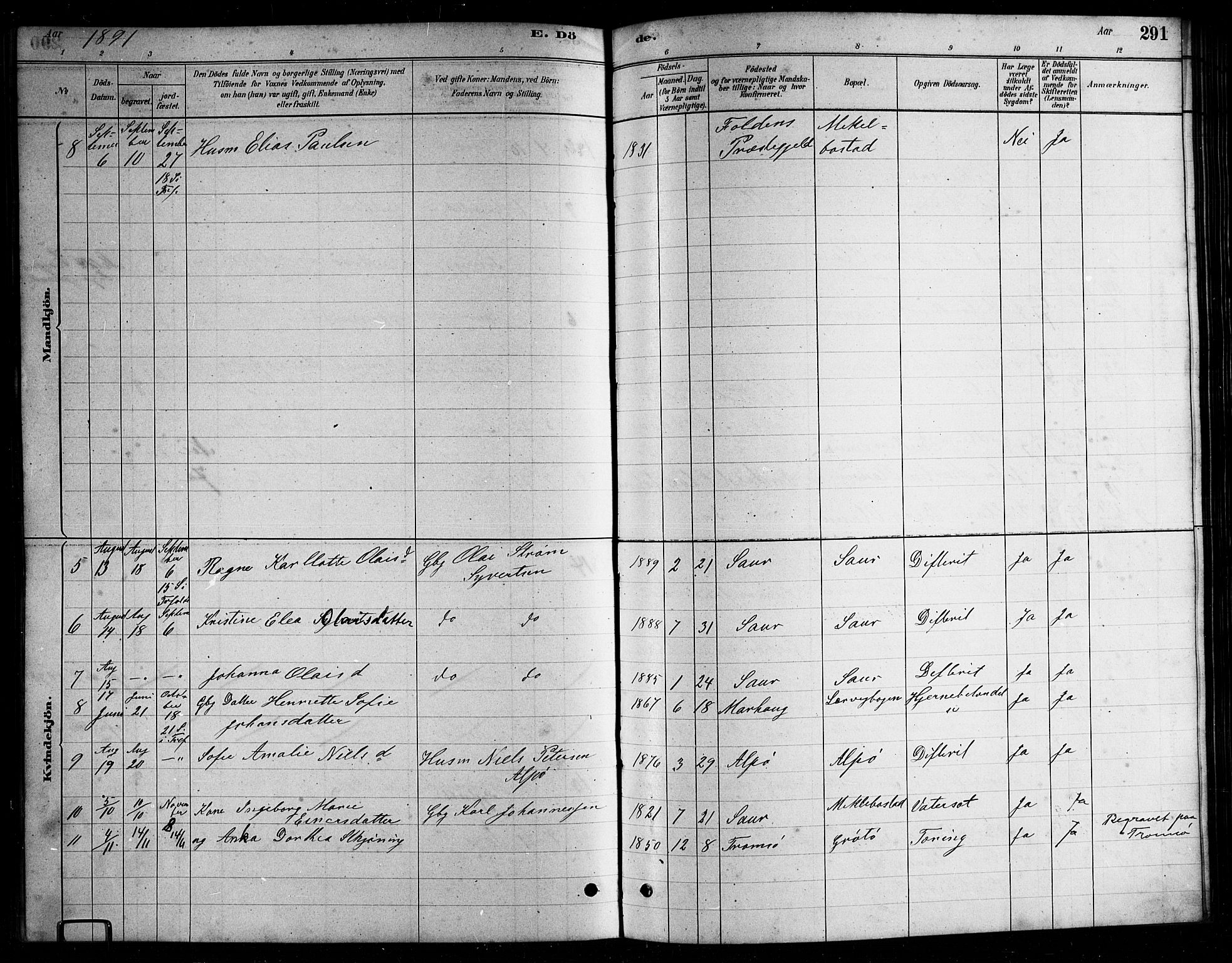 Ministerialprotokoller, klokkerbøker og fødselsregistre - Nordland, AV/SAT-A-1459/857/L0828: Parish register (copy) no. 857C03, 1879-1908, p. 291