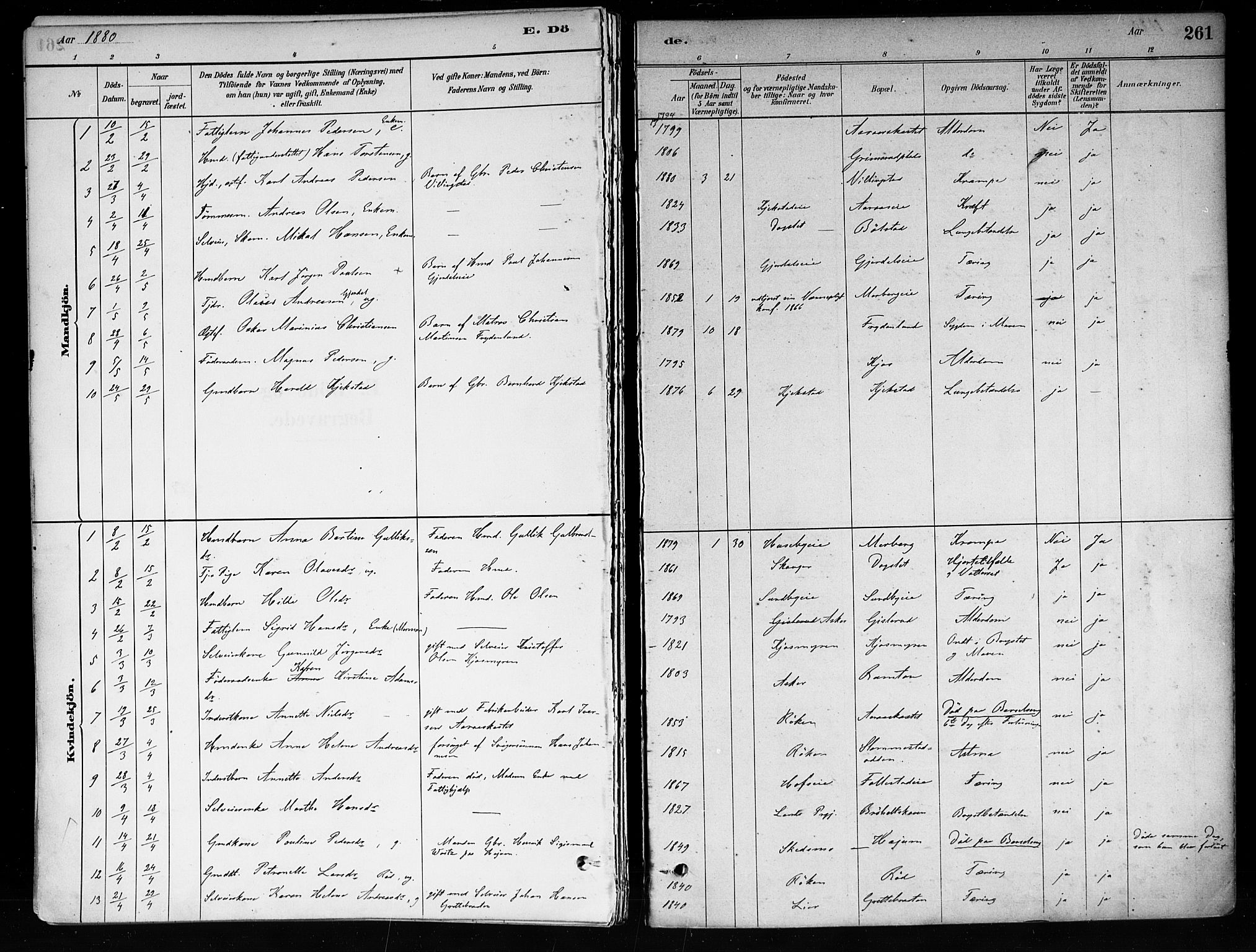 Røyken kirkebøker, SAKO/A-241/F/Fa/L0008: Parish register (official) no. 8, 1880-1897, p. 261
